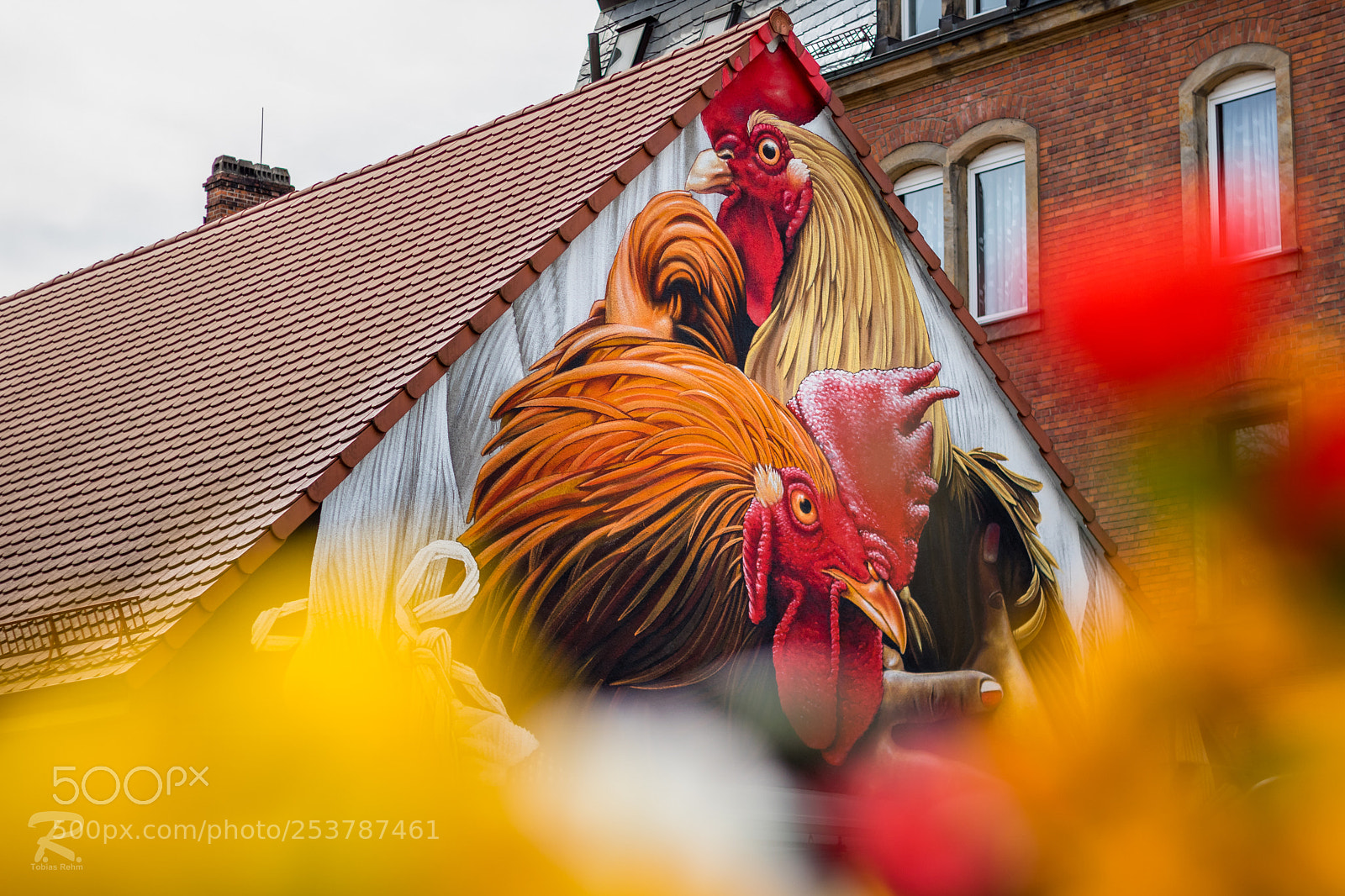 Canon EOS 760D (EOS Rebel T6s / EOS 8000D) sample photo. Bayreuth street-art 3 photography