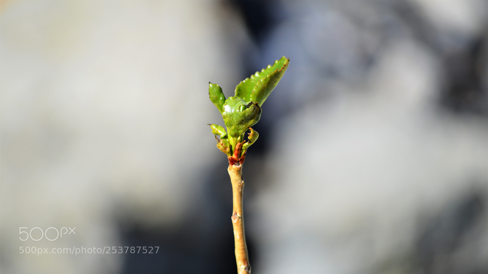 Nikon D3200 sample photo. Untitled photography