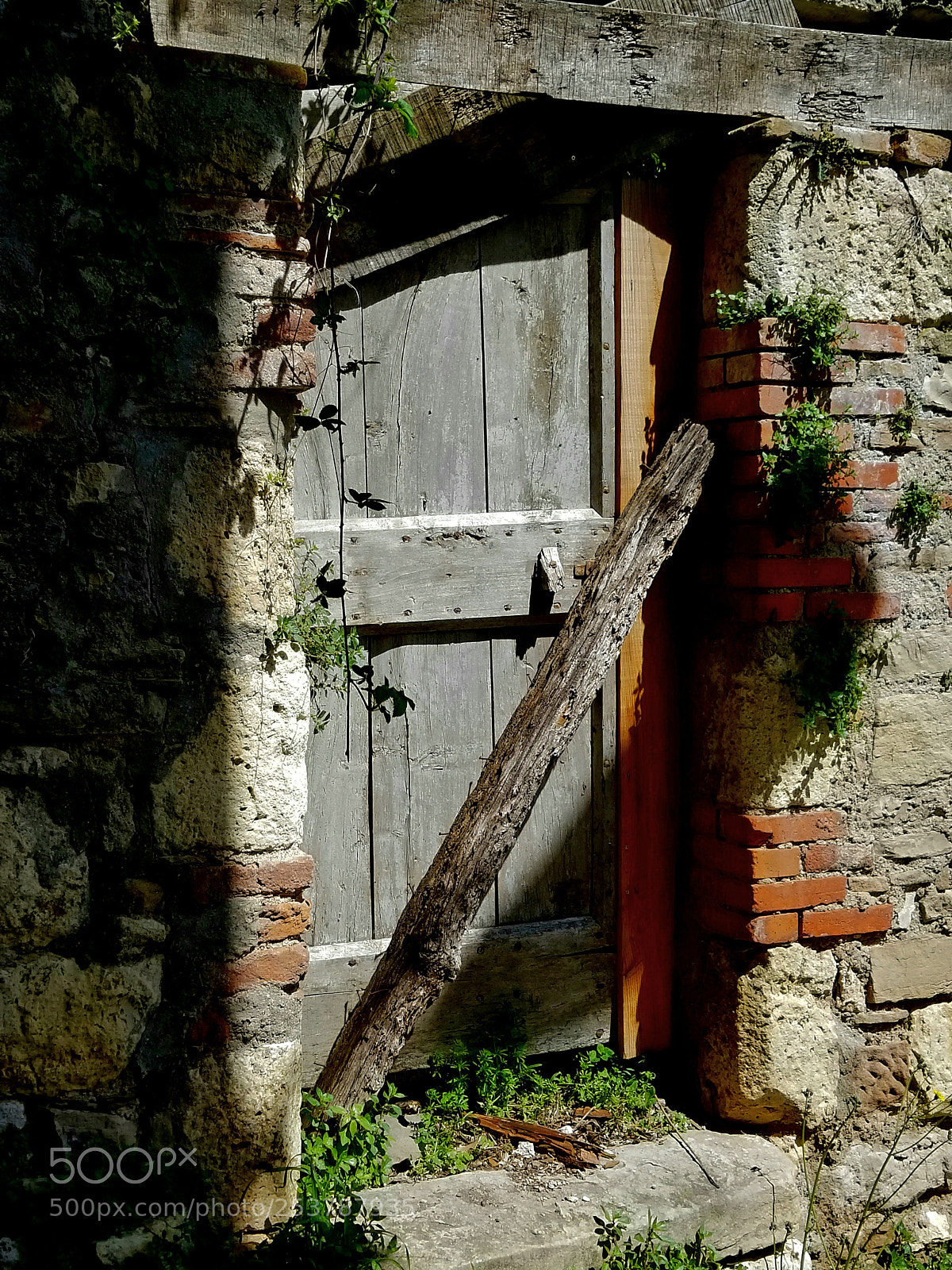 Samsung Galaxy S8 sample photo. Untitled photography