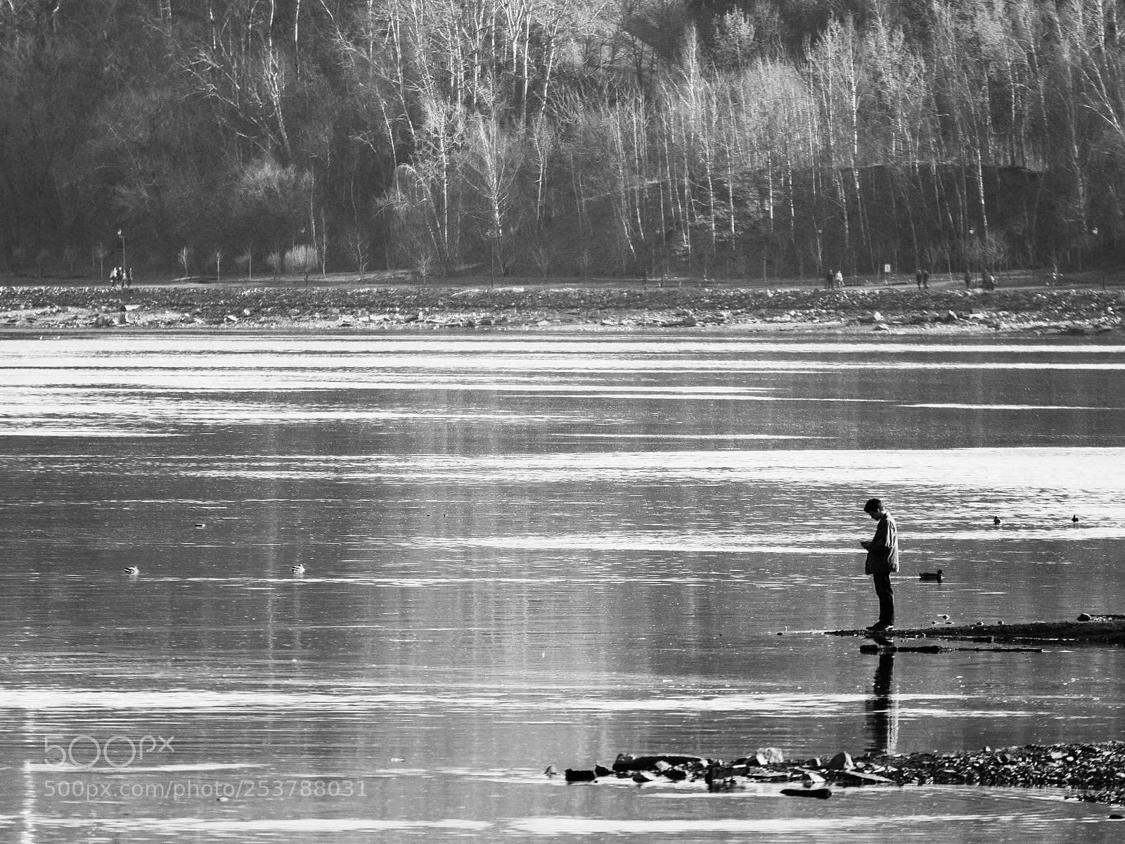 Nikon D7000 sample photo. Untitled photography