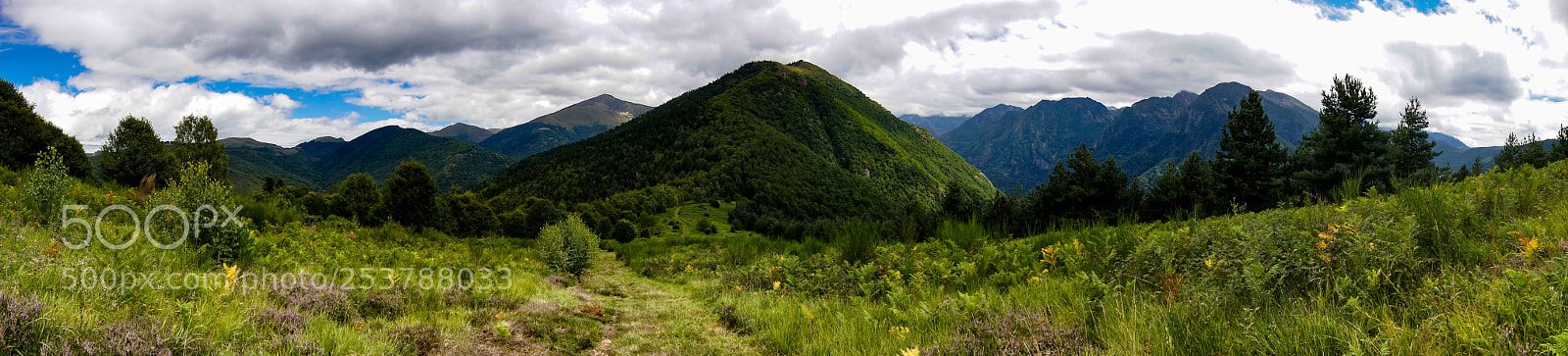 Sony SLT-A77 sample photo. Panorama photography