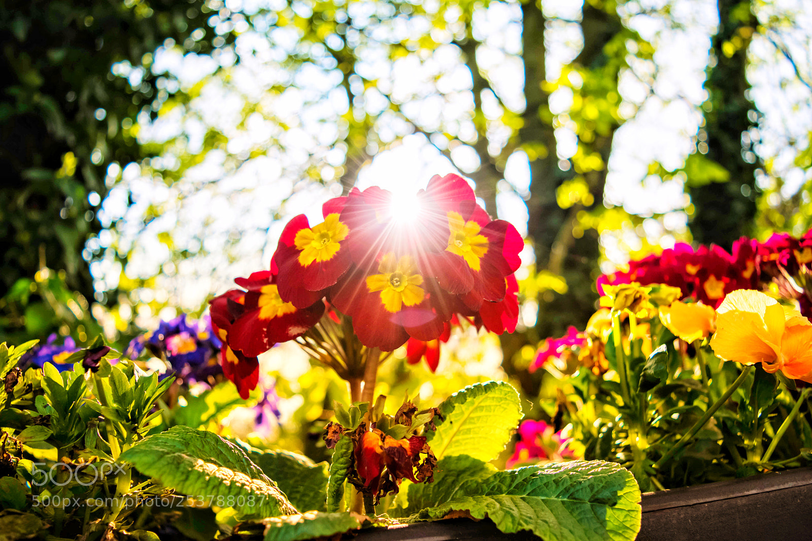 Nikon D5500 sample photo. Untitled photography