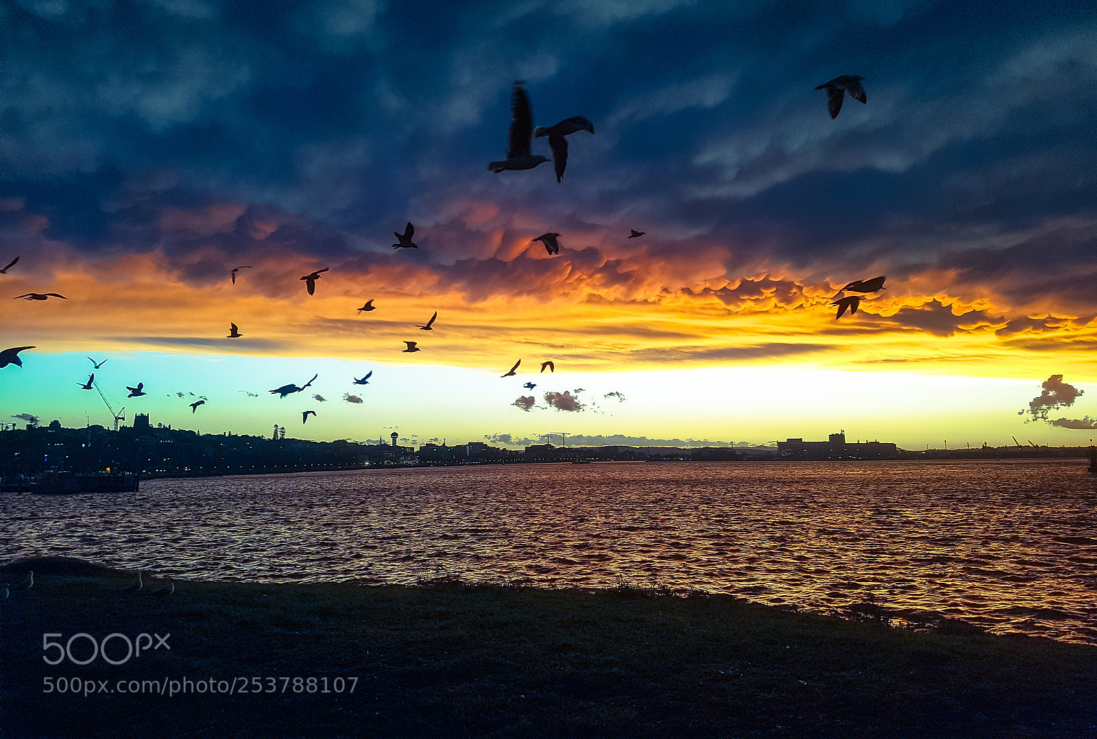 Samsung Galaxy S7 sample photo. Stormy sunset at nobbys photography