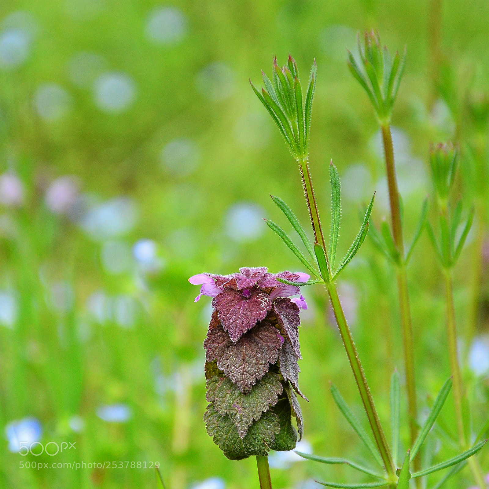 Nikon D3200 sample photo. Untitled photography
