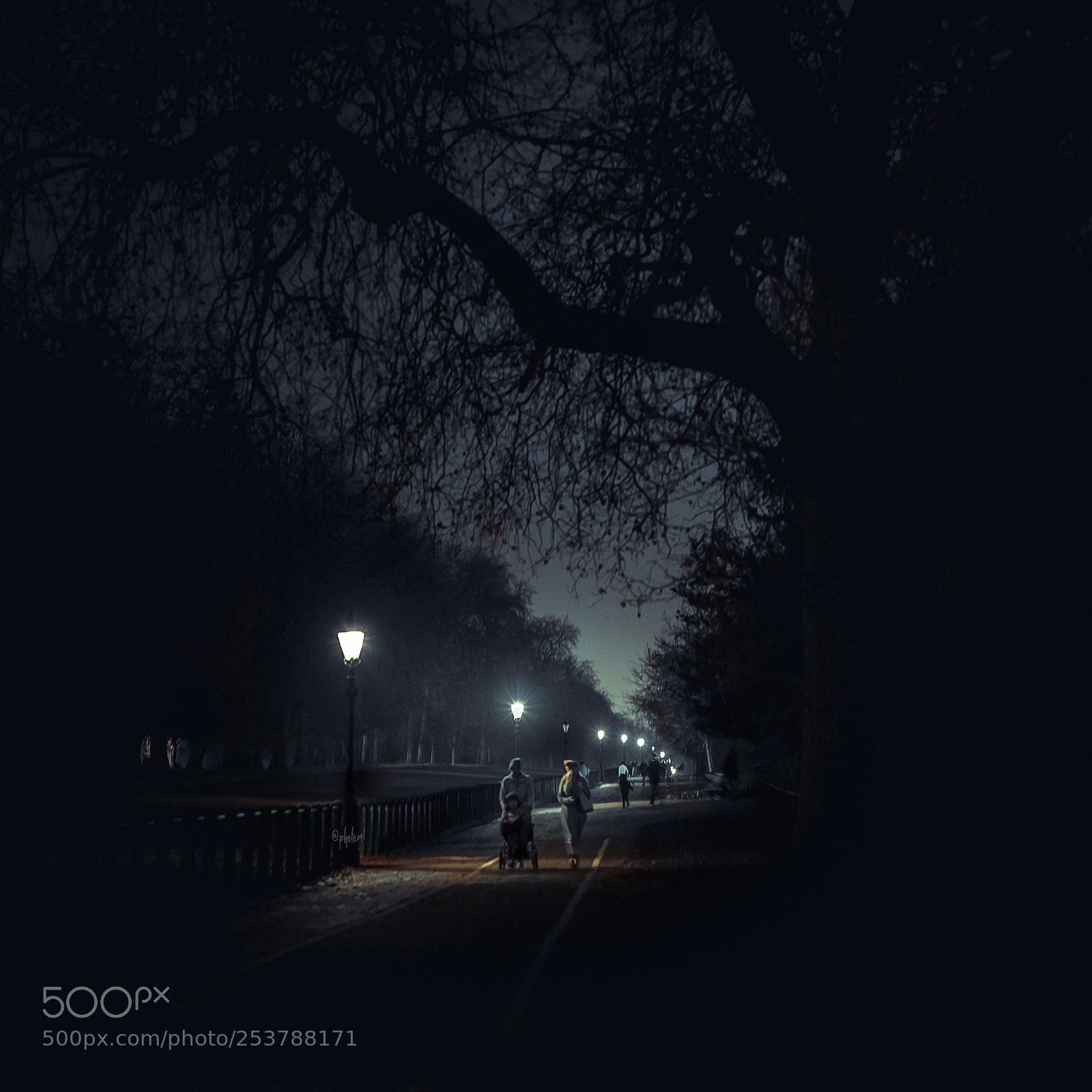 Sony a7R II sample photo. Untitled photography