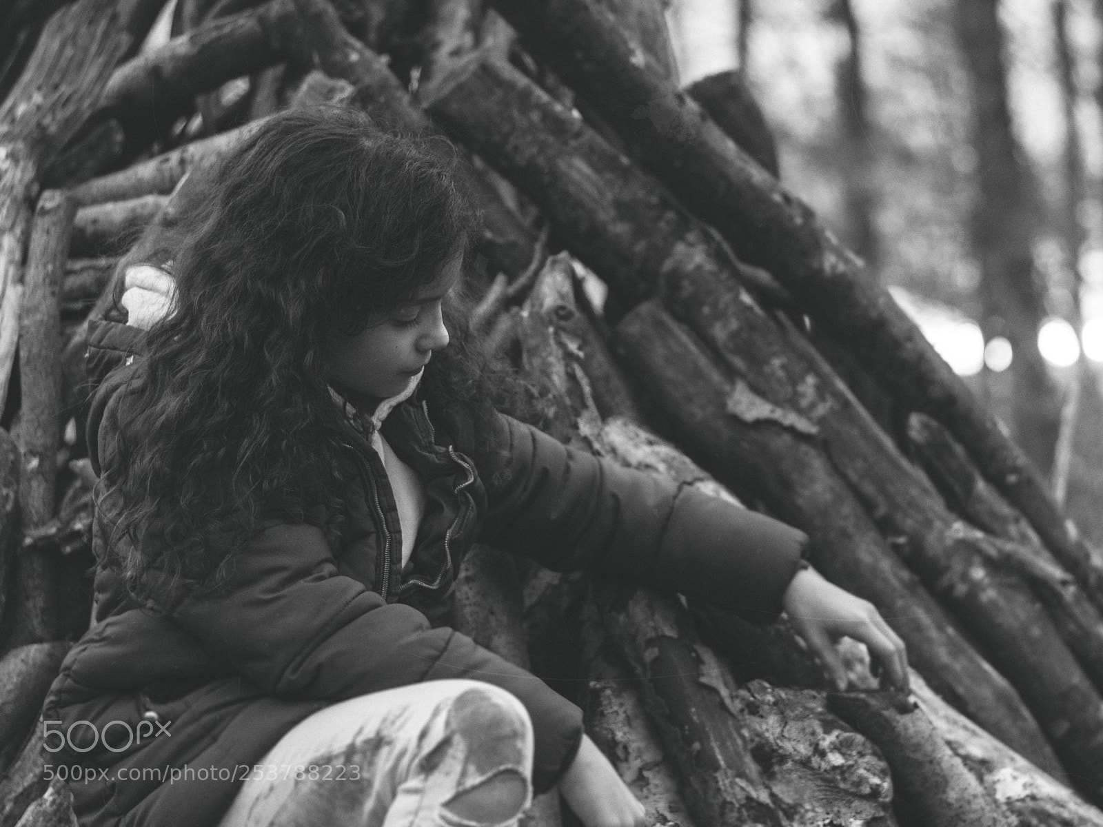 Nikon D7200 sample photo. Woods photography