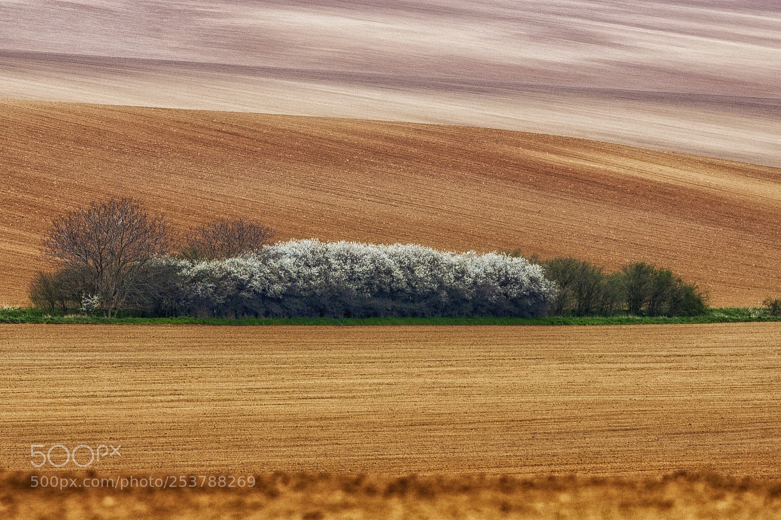 Canon EOS 5D sample photo. Spring photography