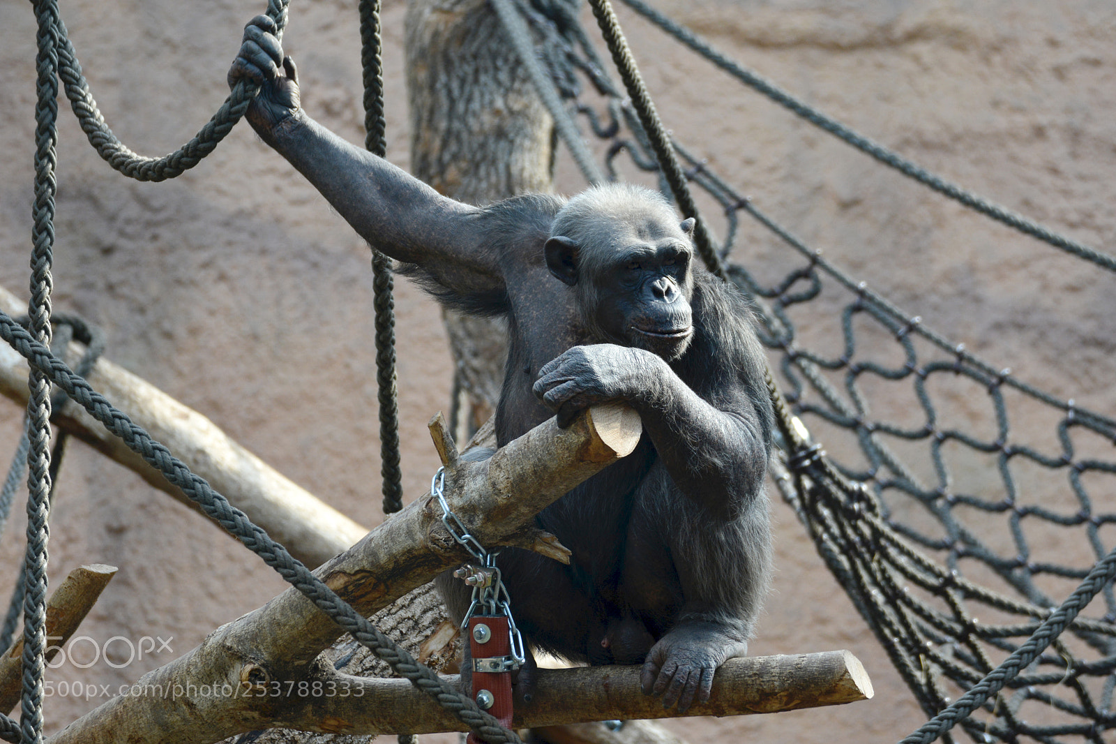 Nikon D7100 sample photo. Tierpark hellabrunn / 15.04.2017 photography