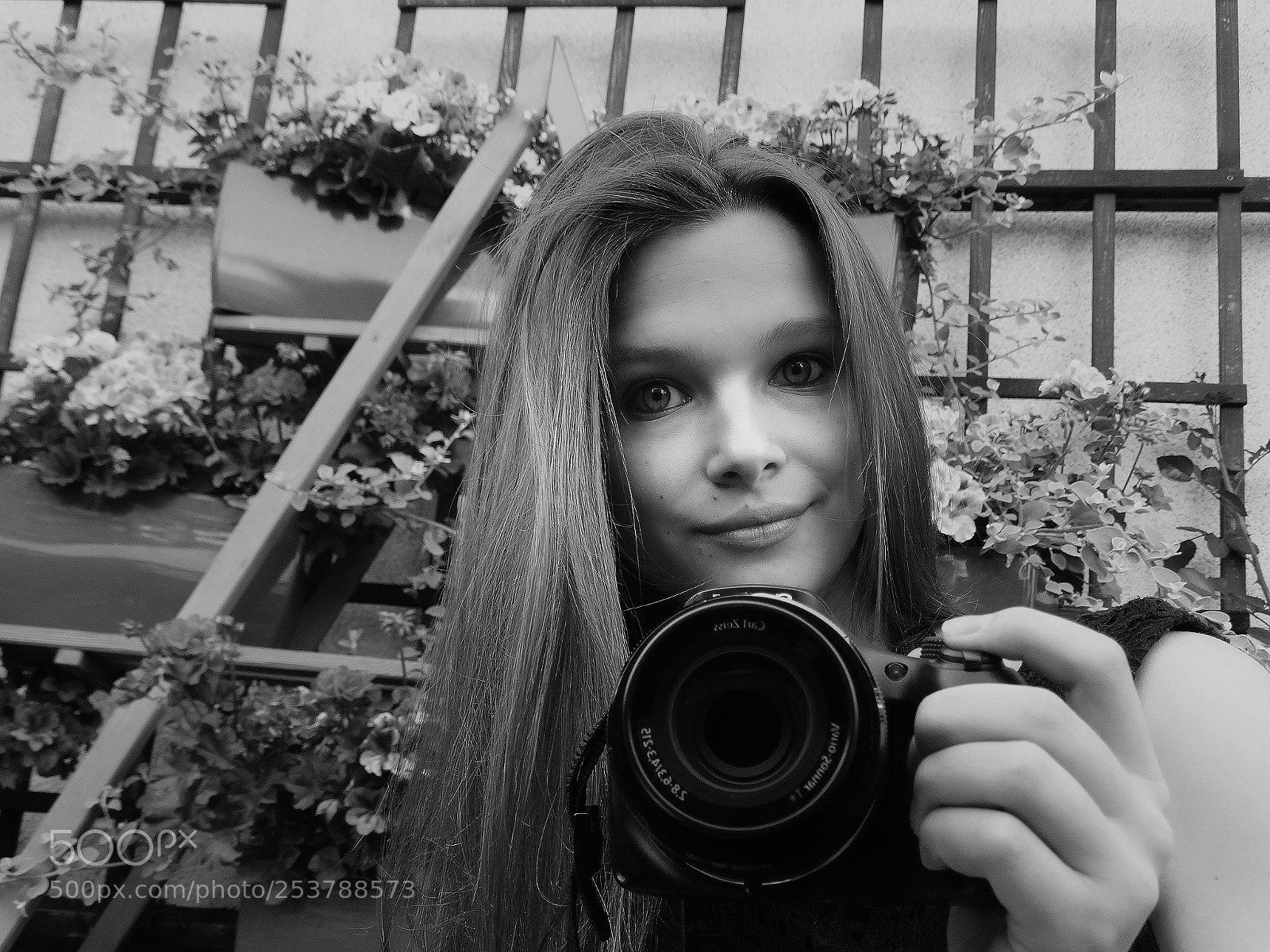 Sony Cyber-shot DSC-HX300 sample photo. B&w photography