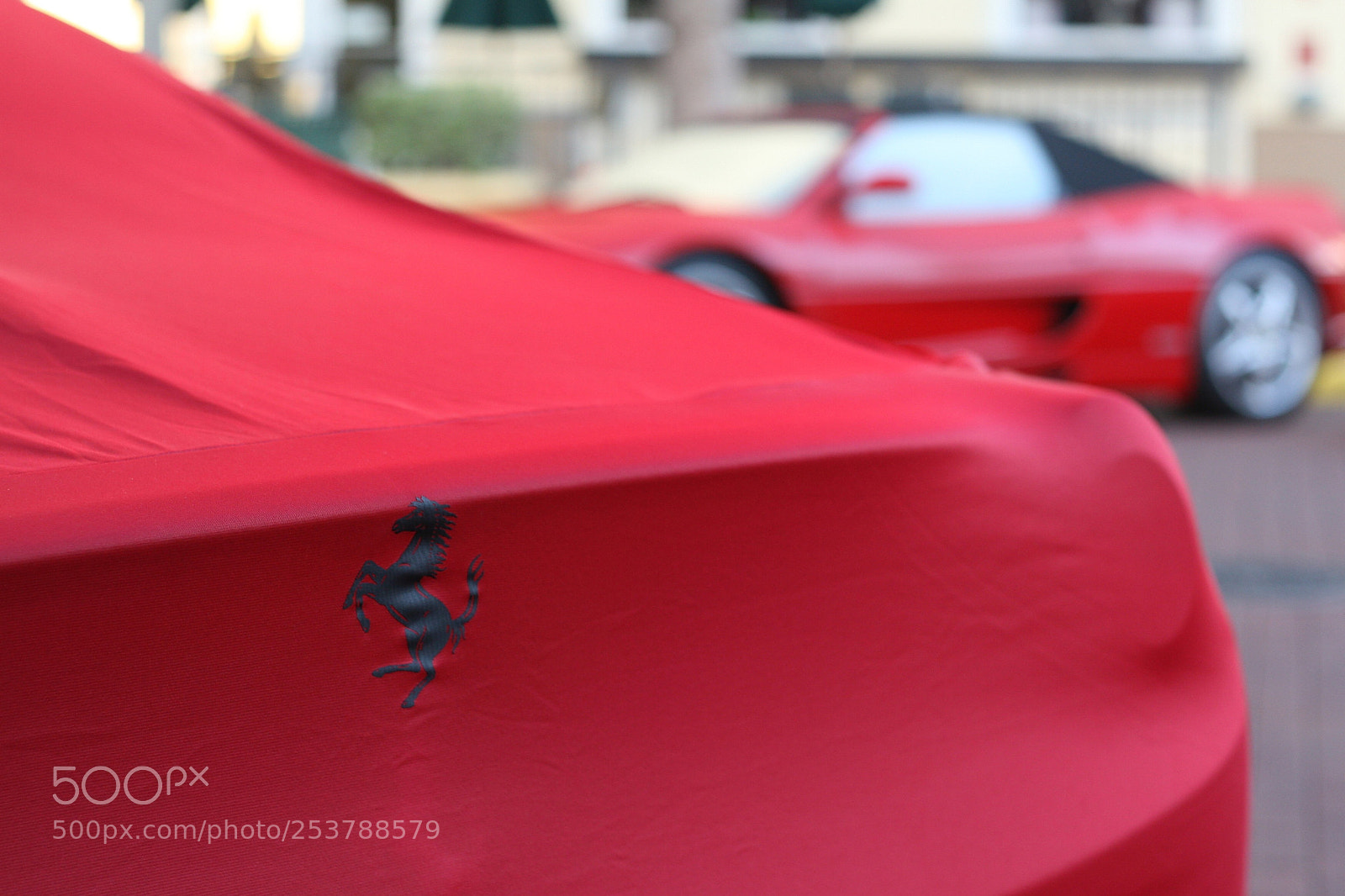 Canon EOS 30D sample photo. Untitled photography