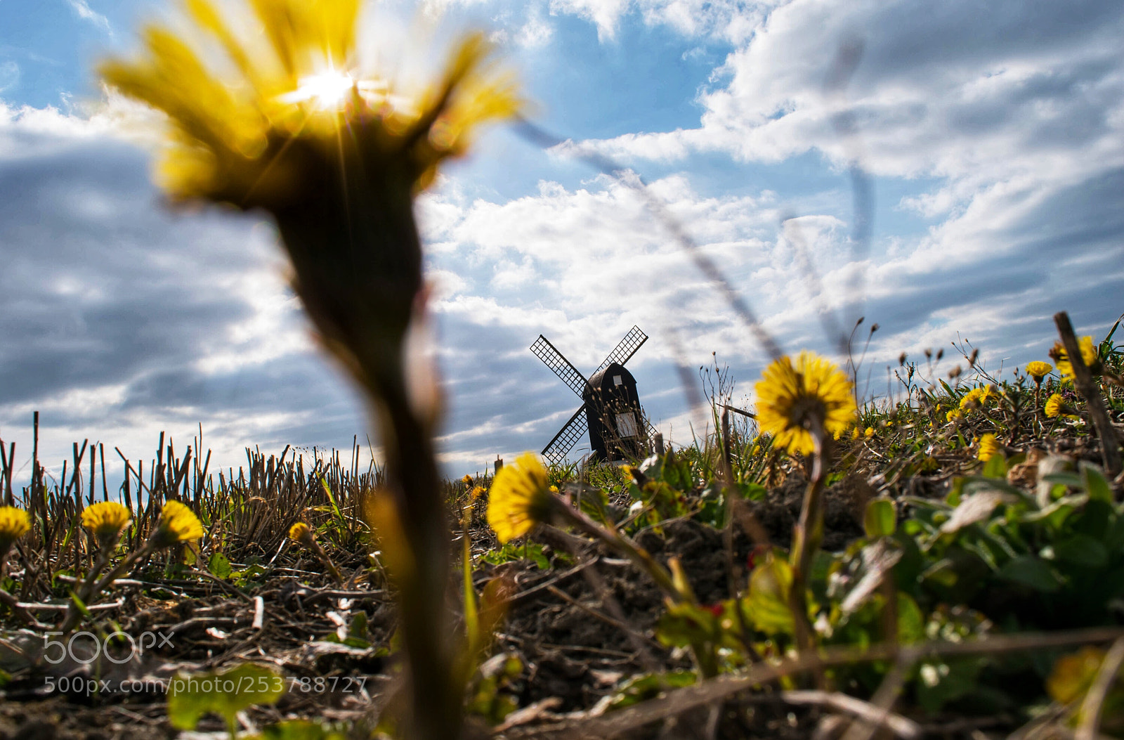 Nikon D5500 sample photo. Untitled photography