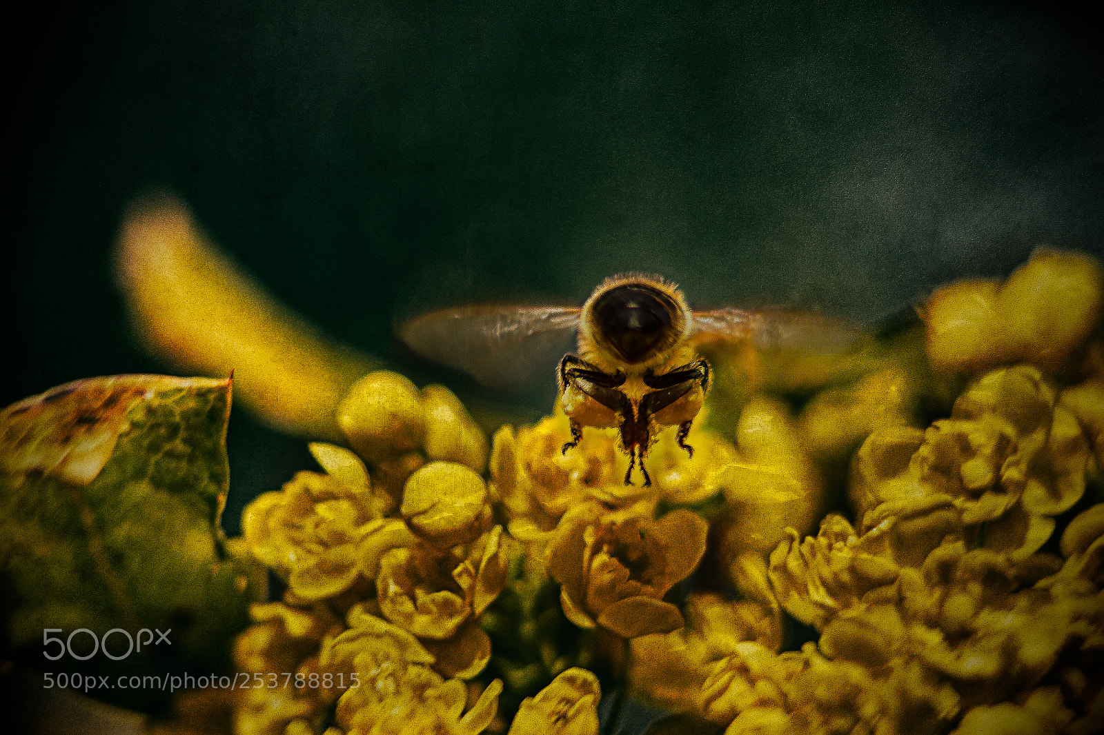 Canon EOS 7D sample photo. Immediate landing photography