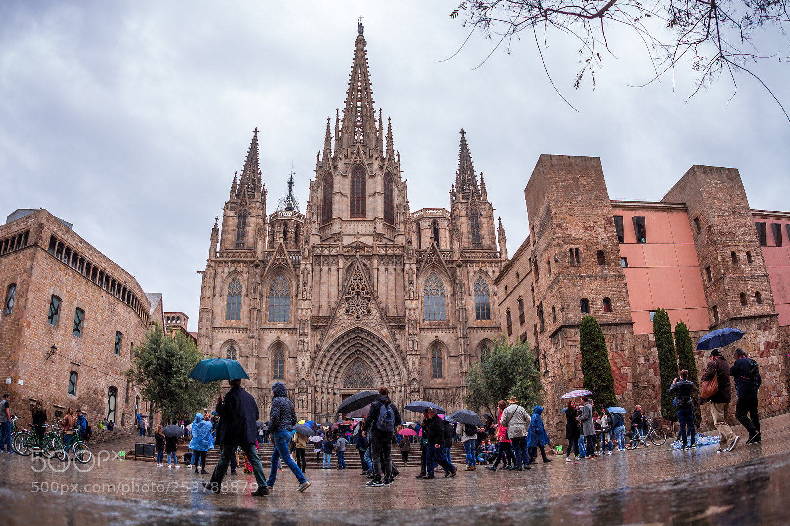 Canon EOS 650D (EOS Rebel T4i / EOS Kiss X6i) sample photo. Barcelona's cathedral photography