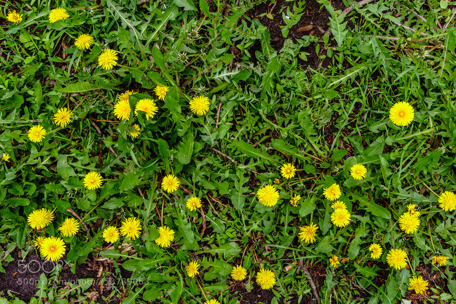 Sony a6300 sample photo. Dsc02525-2.jpg photography