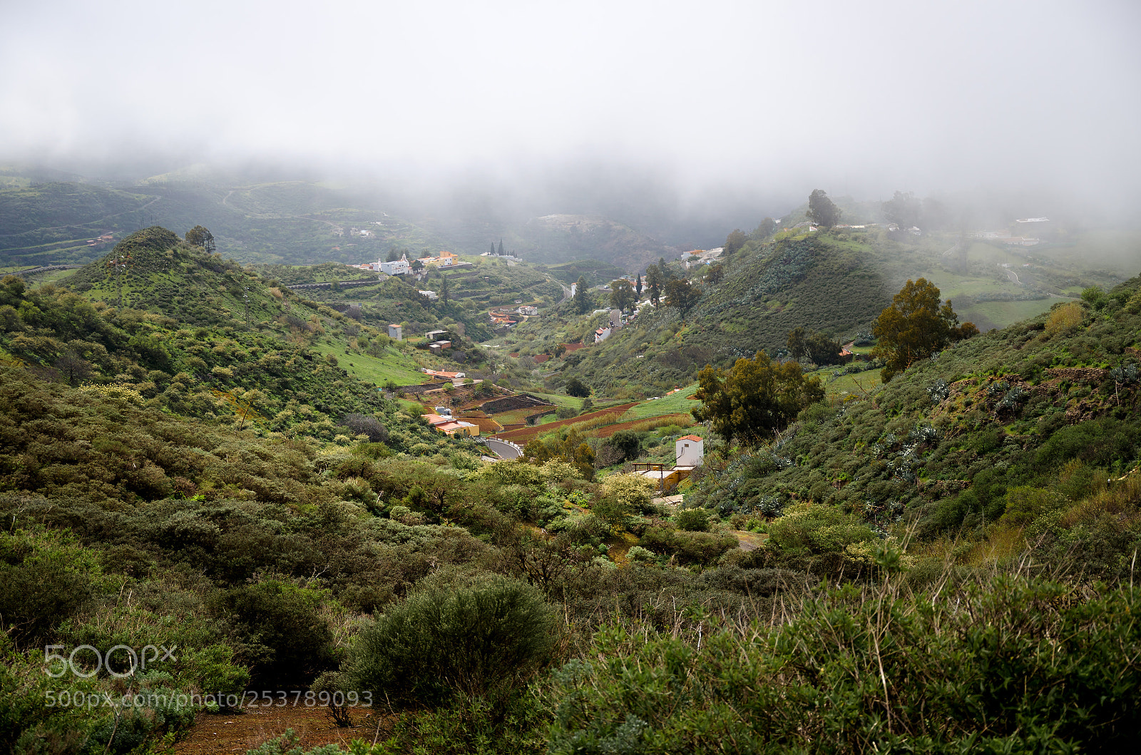 Nikon D7000 sample photo. Foggy morning photography