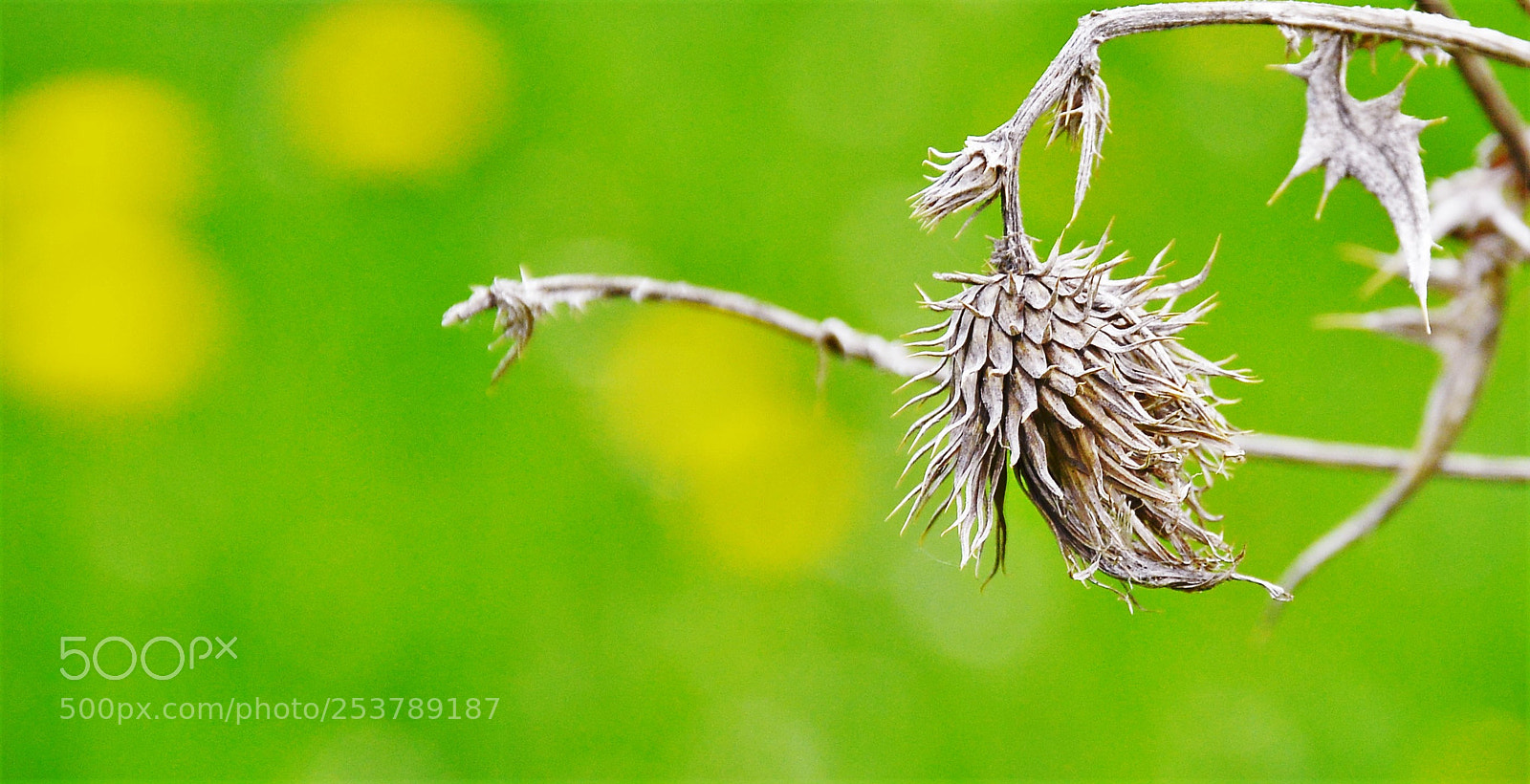 Nikon D3200 sample photo. Untitled photography