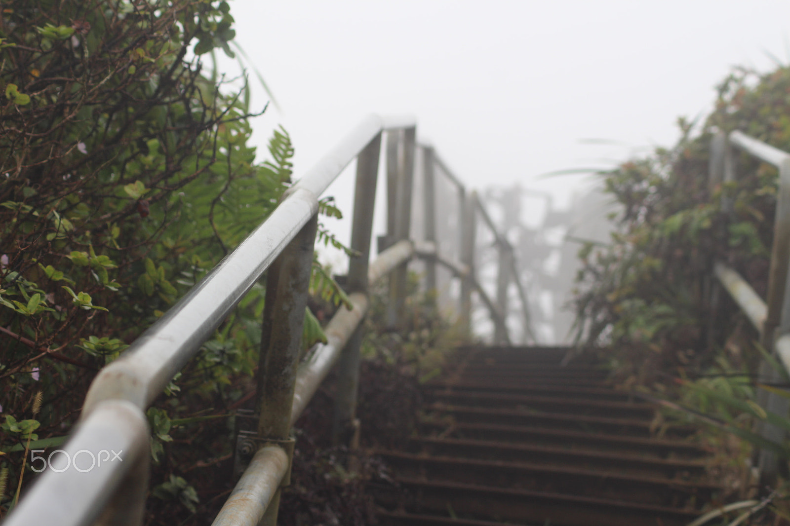Canon EOS 700D (EOS Rebel T5i / EOS Kiss X7i) sample photo. Stairway to heaven. photography