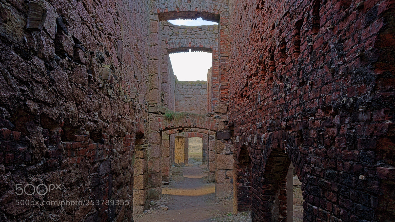 Sony a7 II sample photo. Inside new slain catle photography