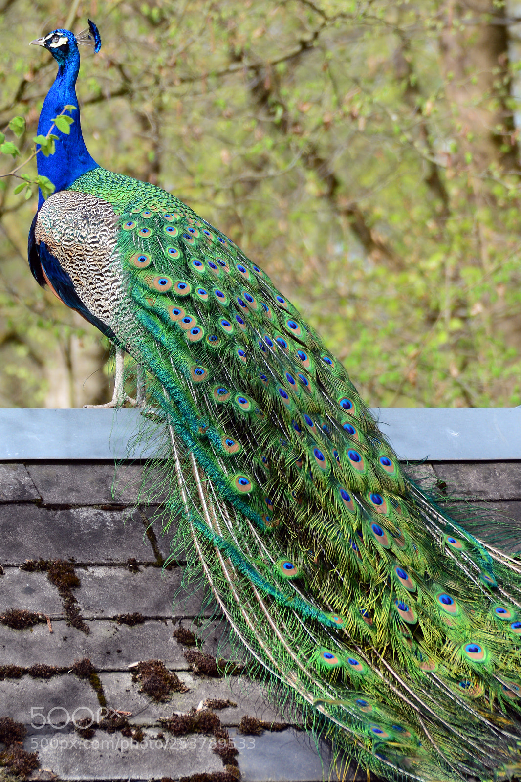 Nikon D7100 sample photo. Tierpark hellabrunn / 15.04.2017 photography