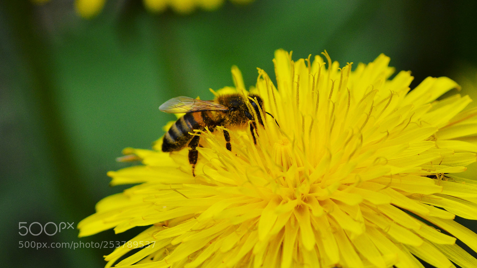 Nikon D3200 sample photo. Untitled photography