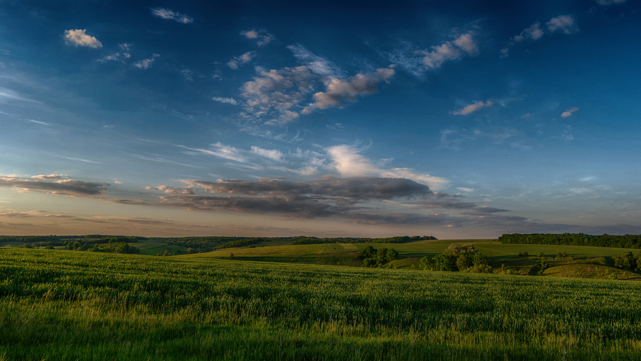 Samsung NX500 sample photo. Sunset in field photography