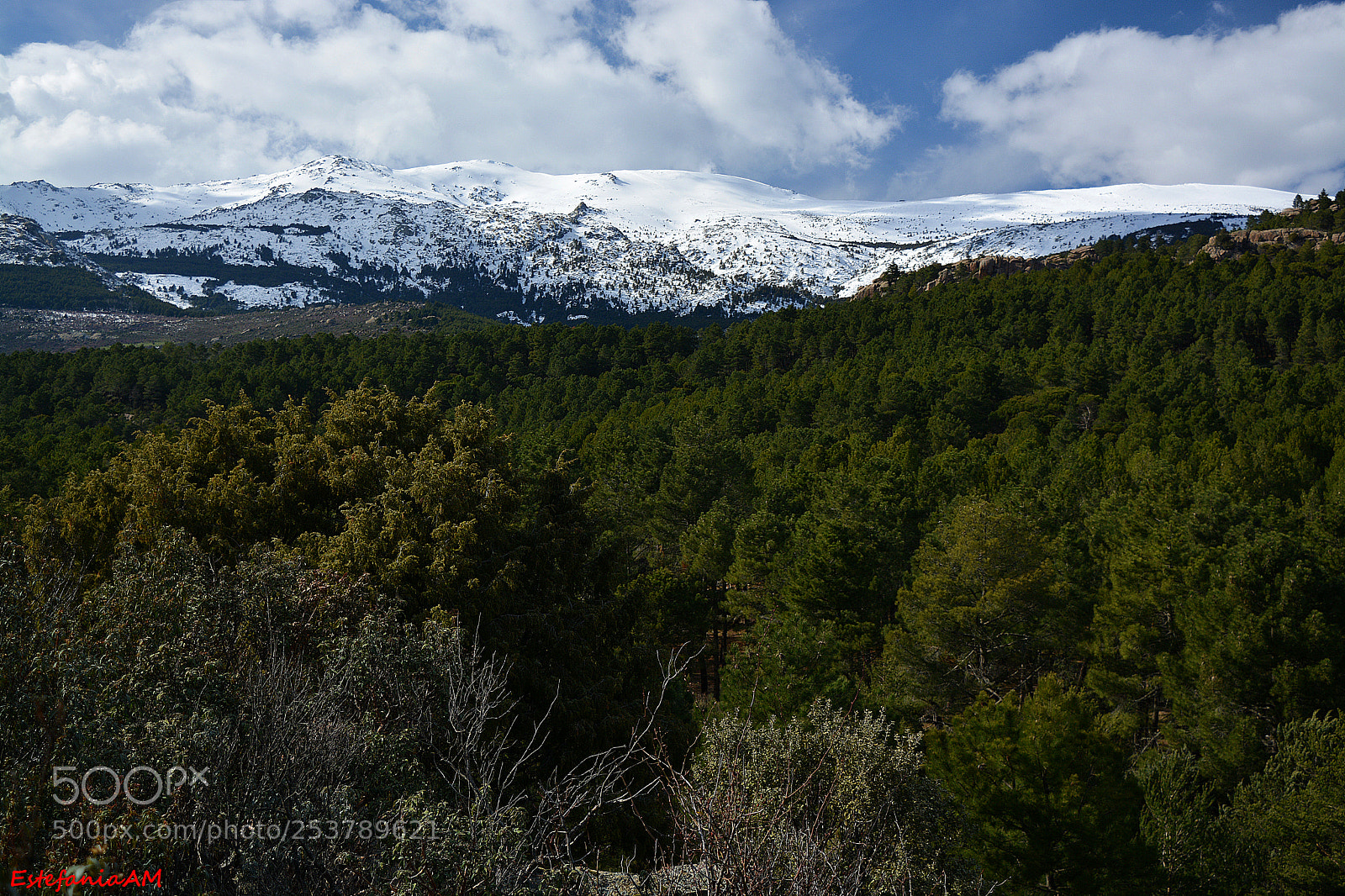 Nikon D5200 sample photo. De paseo por la photography