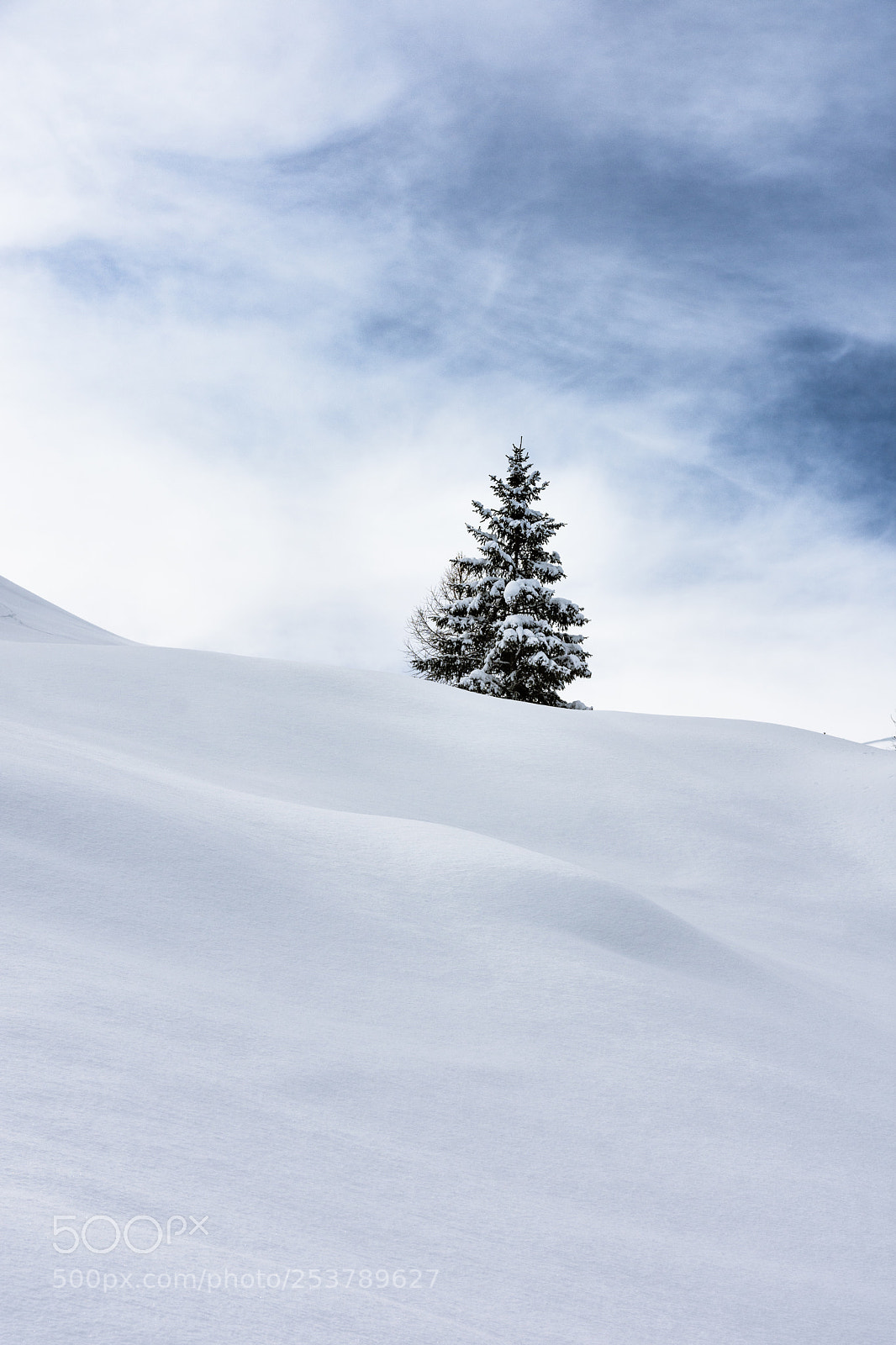 Nikon D7200 sample photo. Lonely tree photography