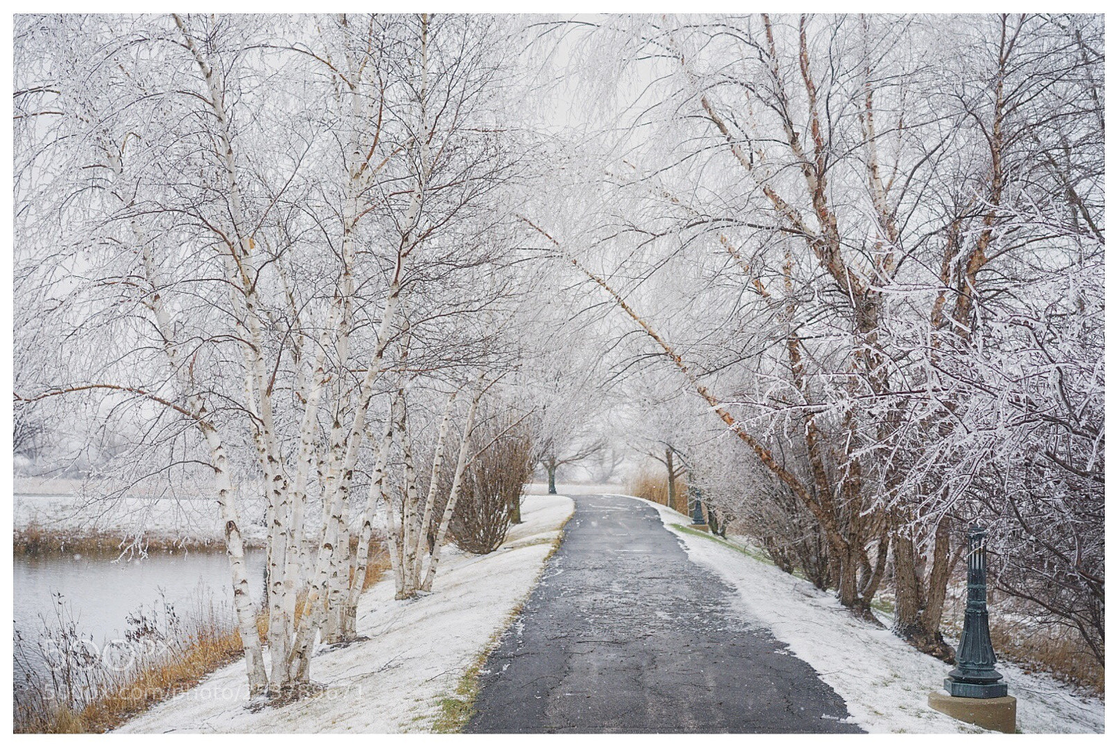 Sony a7 II sample photo. Untitled photography