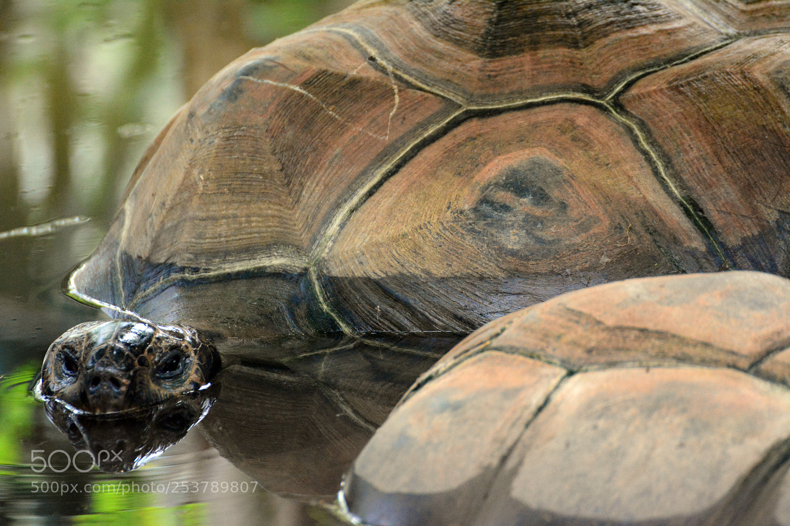 Nikon D7100 sample photo. Tierpark hellabrunn / 15.04.2017 photography