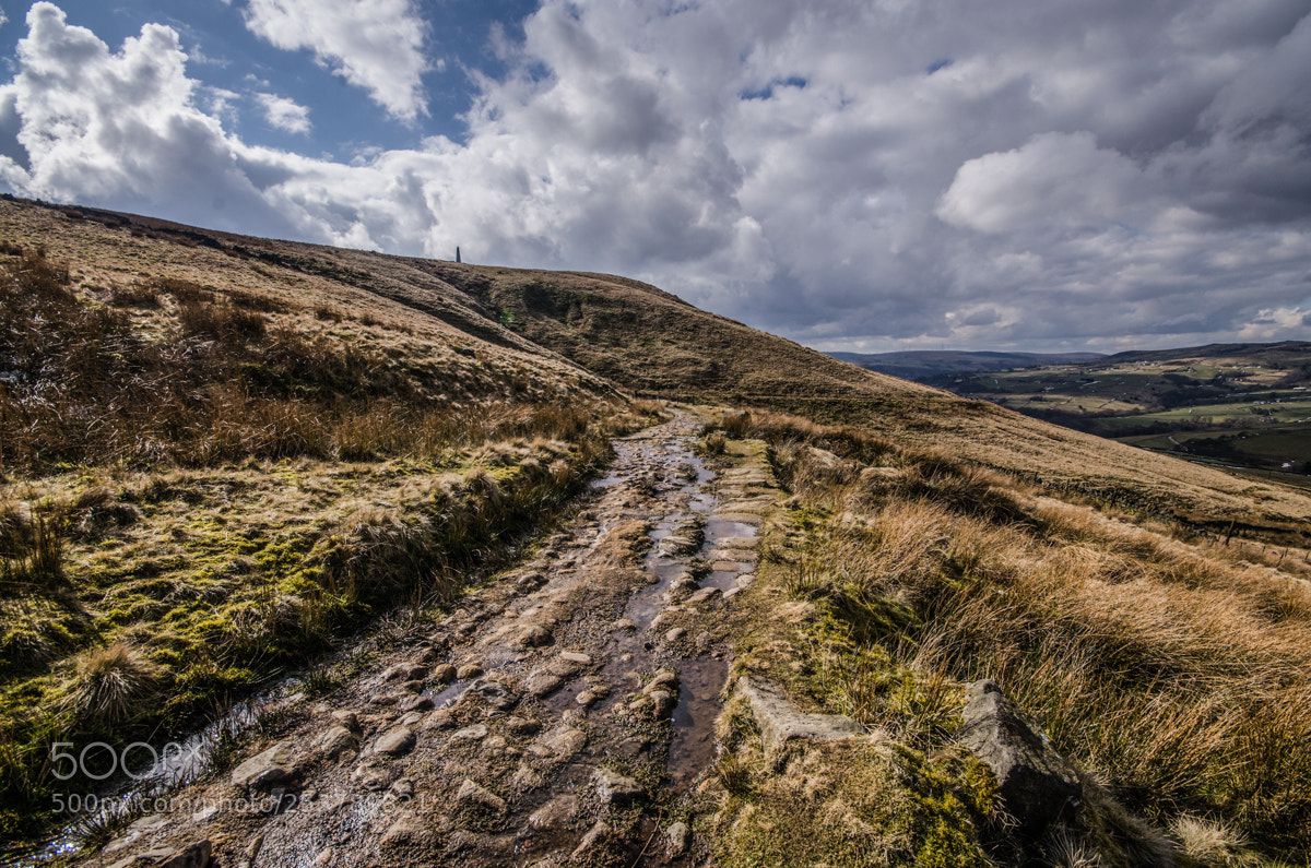 Nikon D7000 sample photo. The path through photography