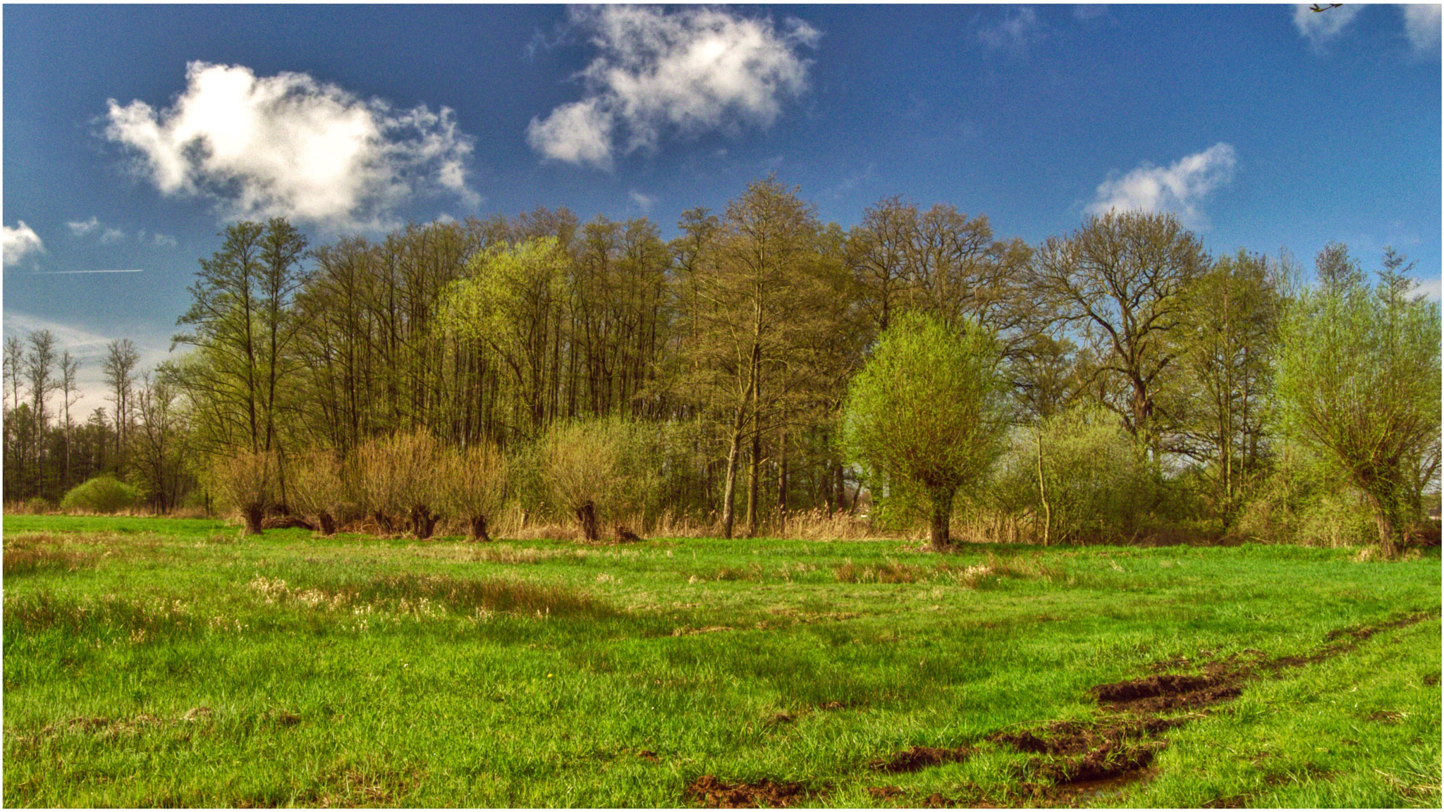 Panasonic Lumix DMC-LX5 sample photo. Landscape in spring photography
