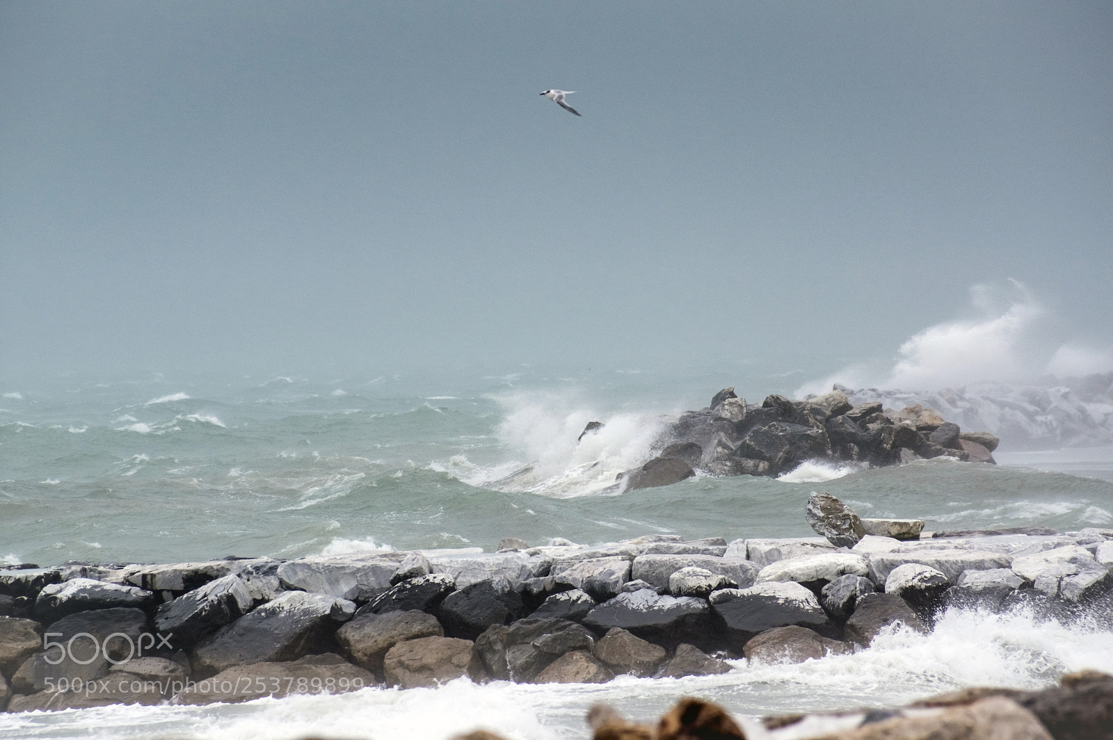 Pentax K-3 II sample photo. Mare mosso photography