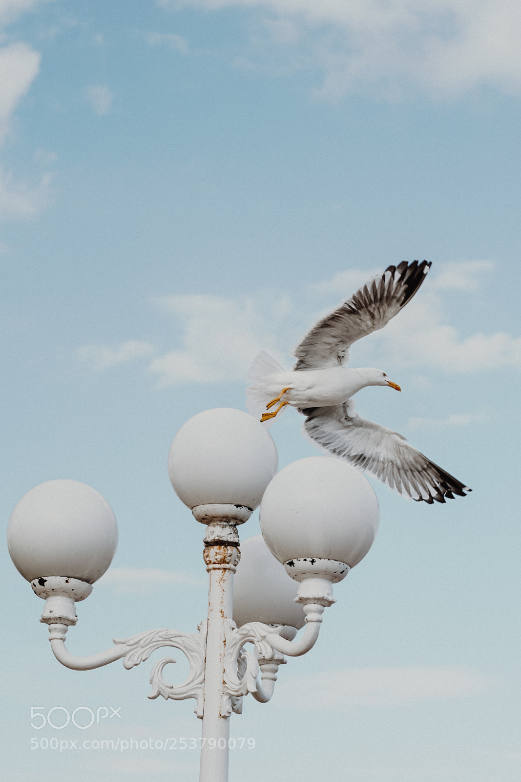 Sony a6300 sample photo. Frozen in time photography