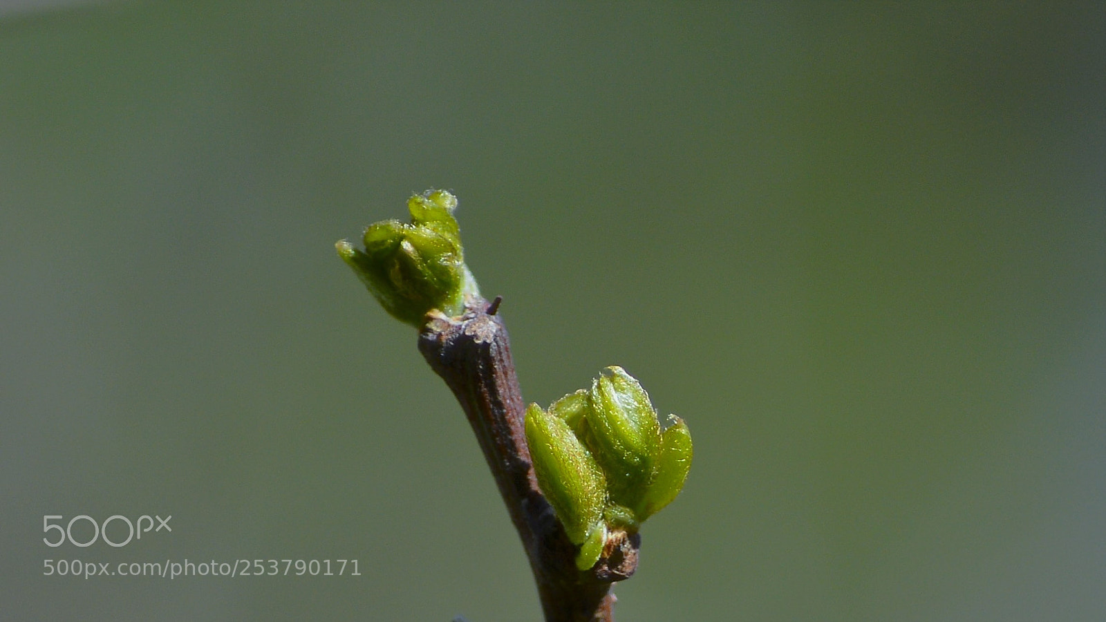 Nikon D3200 sample photo. Untitled photography
