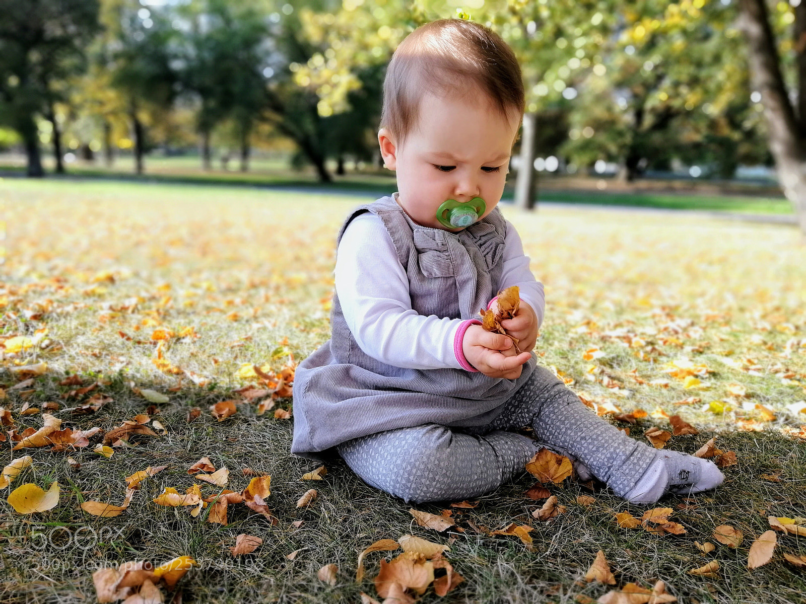 HUAWEI Honor 9 sample photo. Funny leaves photography