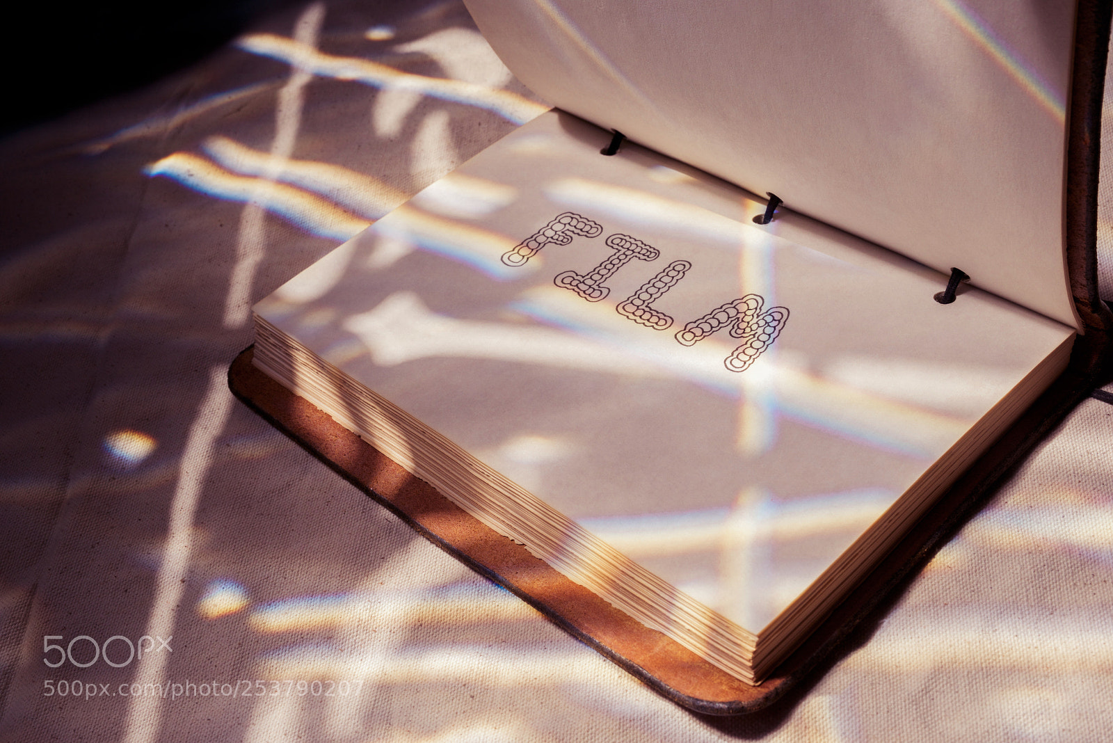 Nikon D810 sample photo. Film photography