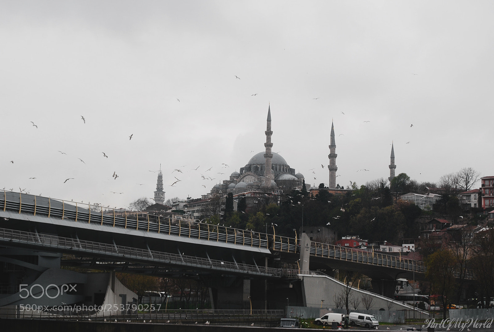 Nikon D3000 sample photo. Seagulls over blue mosque photography