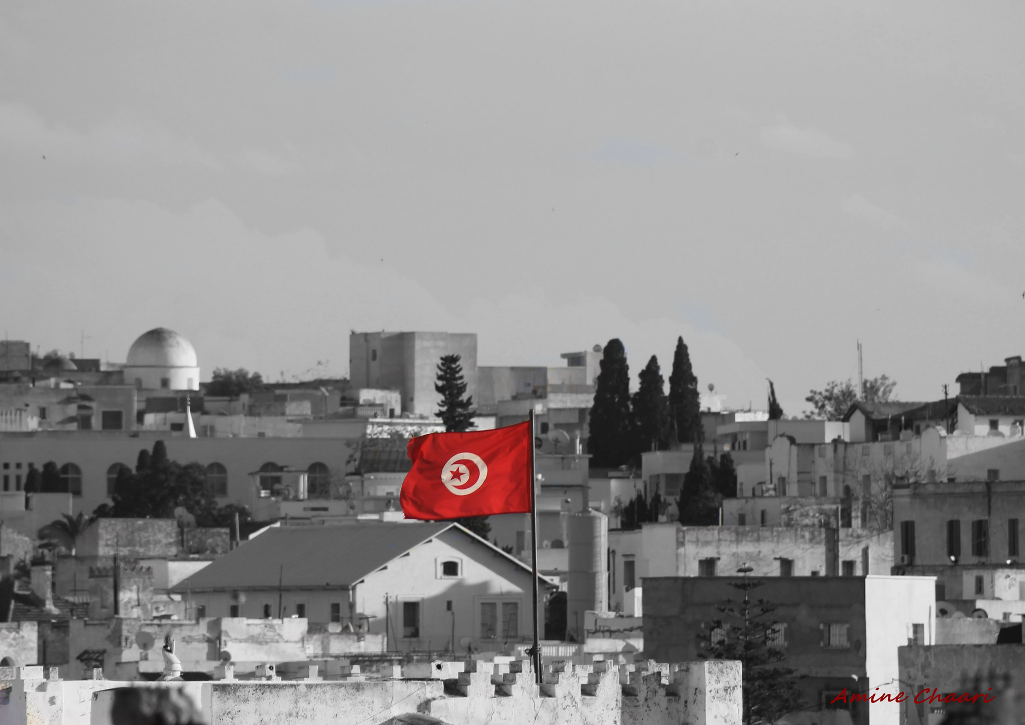 Canon EF 75-300mm f/4-5.6 sample photo. Tunisian flag photography