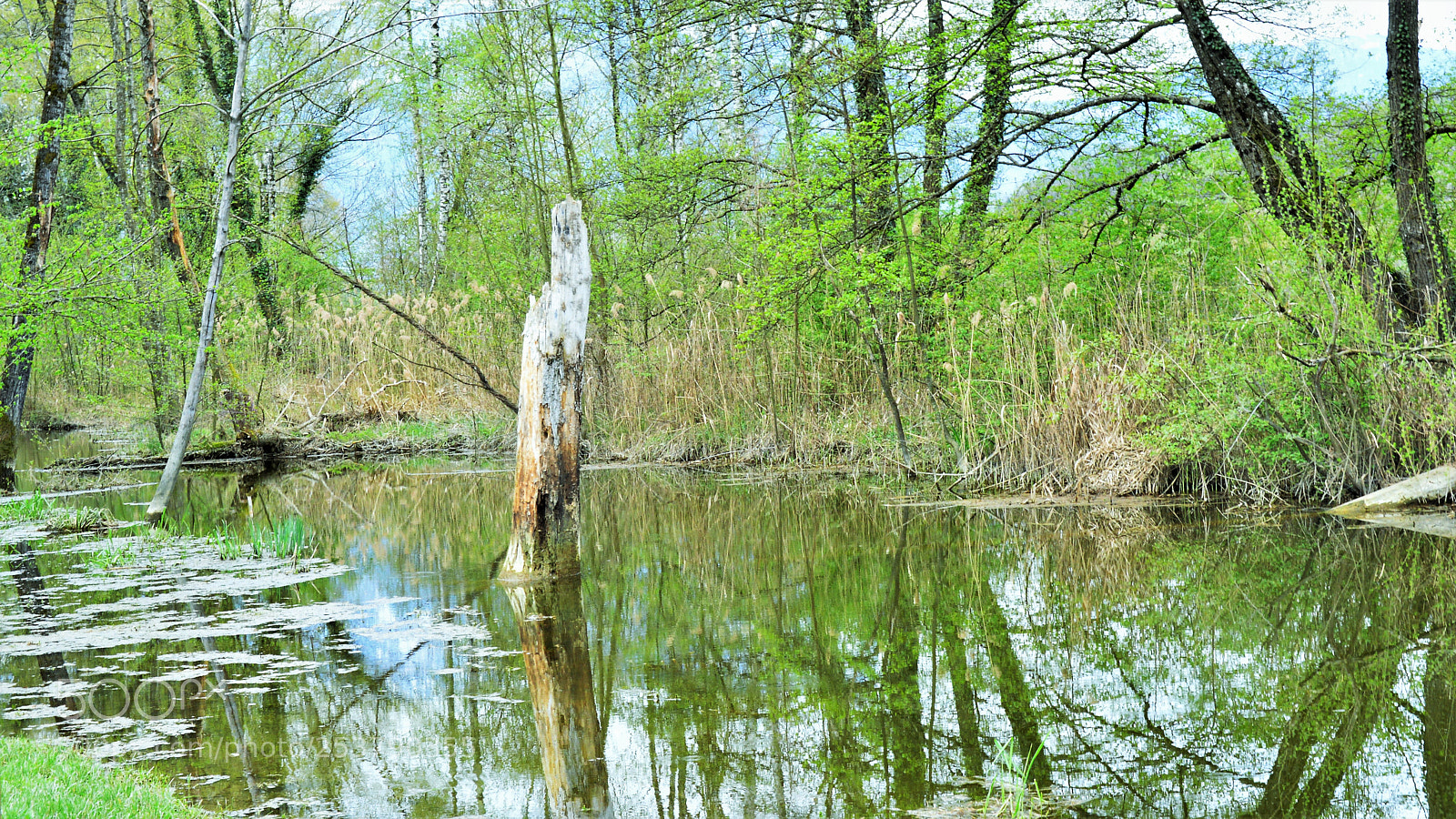 Nikon D3200 sample photo. Untitled photography