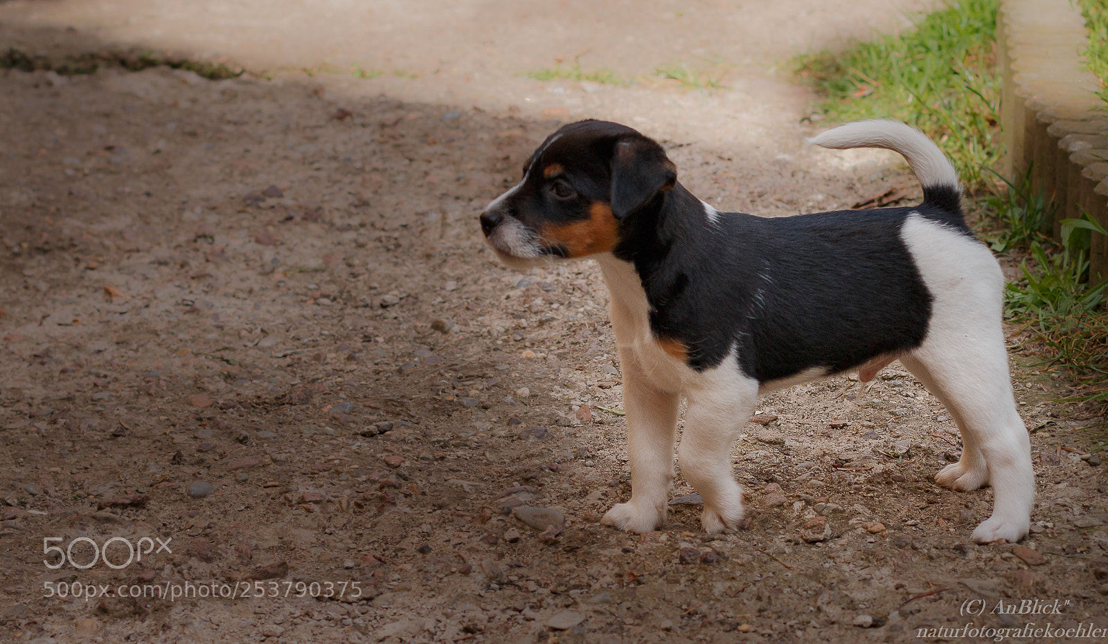 Canon EOS 70D sample photo. Was ist? photography