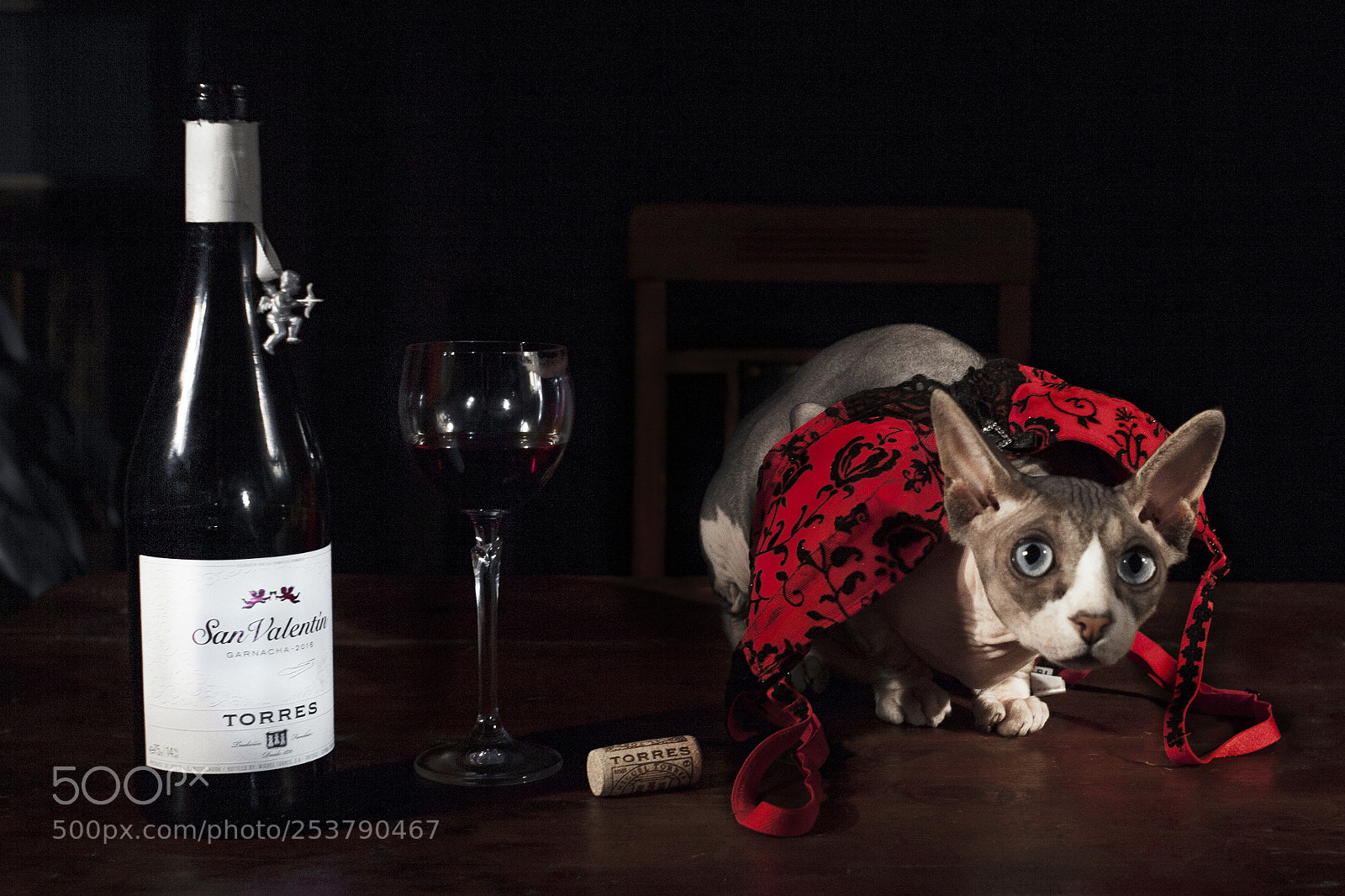 Canon EOS 5D sample photo. After glass of wine photography
