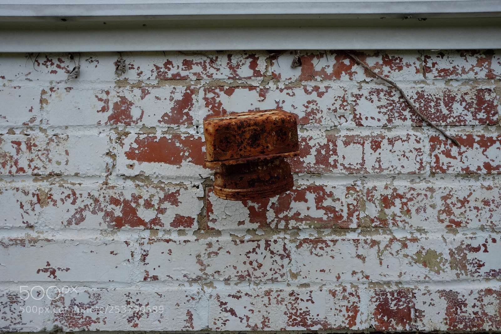 Fujifilm X-E2S sample photo. Untitled photography