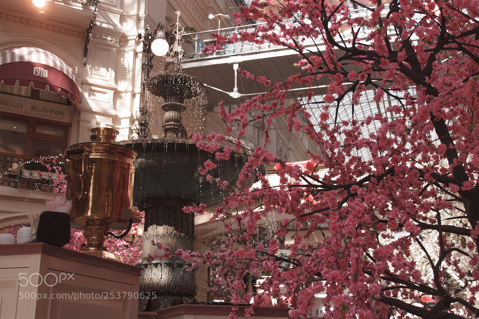 Canon EOS 550D (EOS Rebel T2i / EOS Kiss X4) sample photo. Tree in the building  photography
