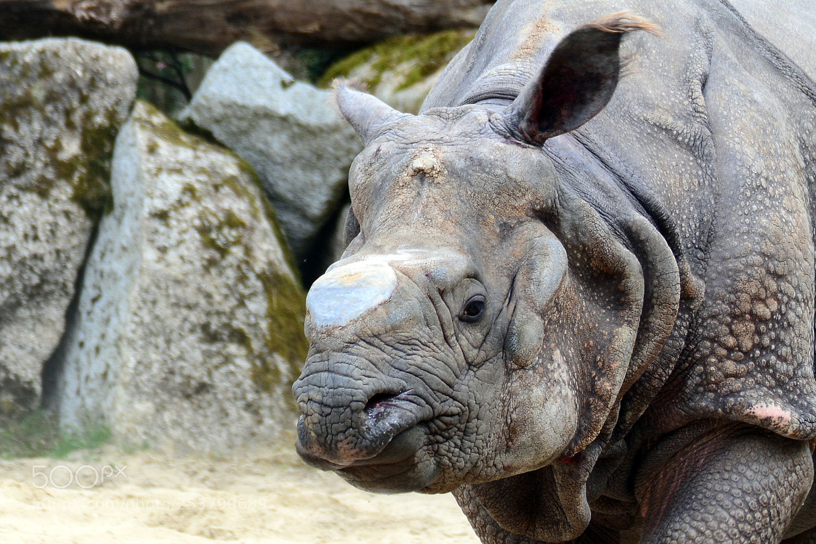 Nikon D7100 sample photo. Tierpark hellabrunn / 15.04.2017 photography
