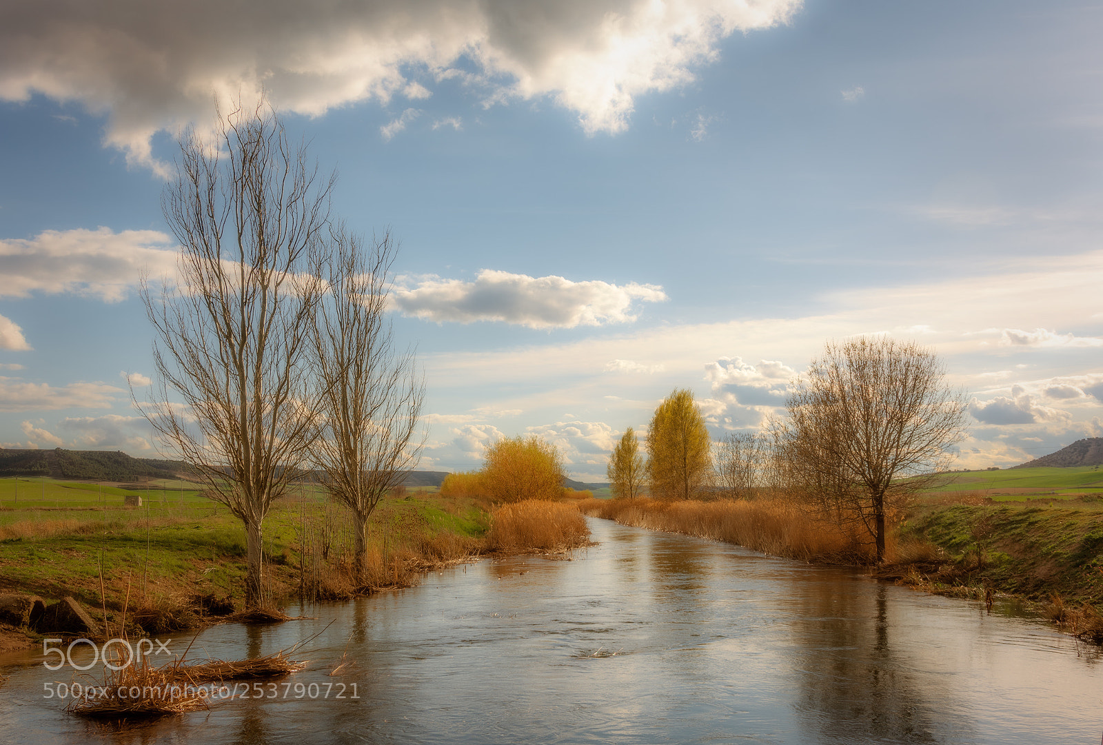 Nikon D7100 sample photo. Esgueva photography