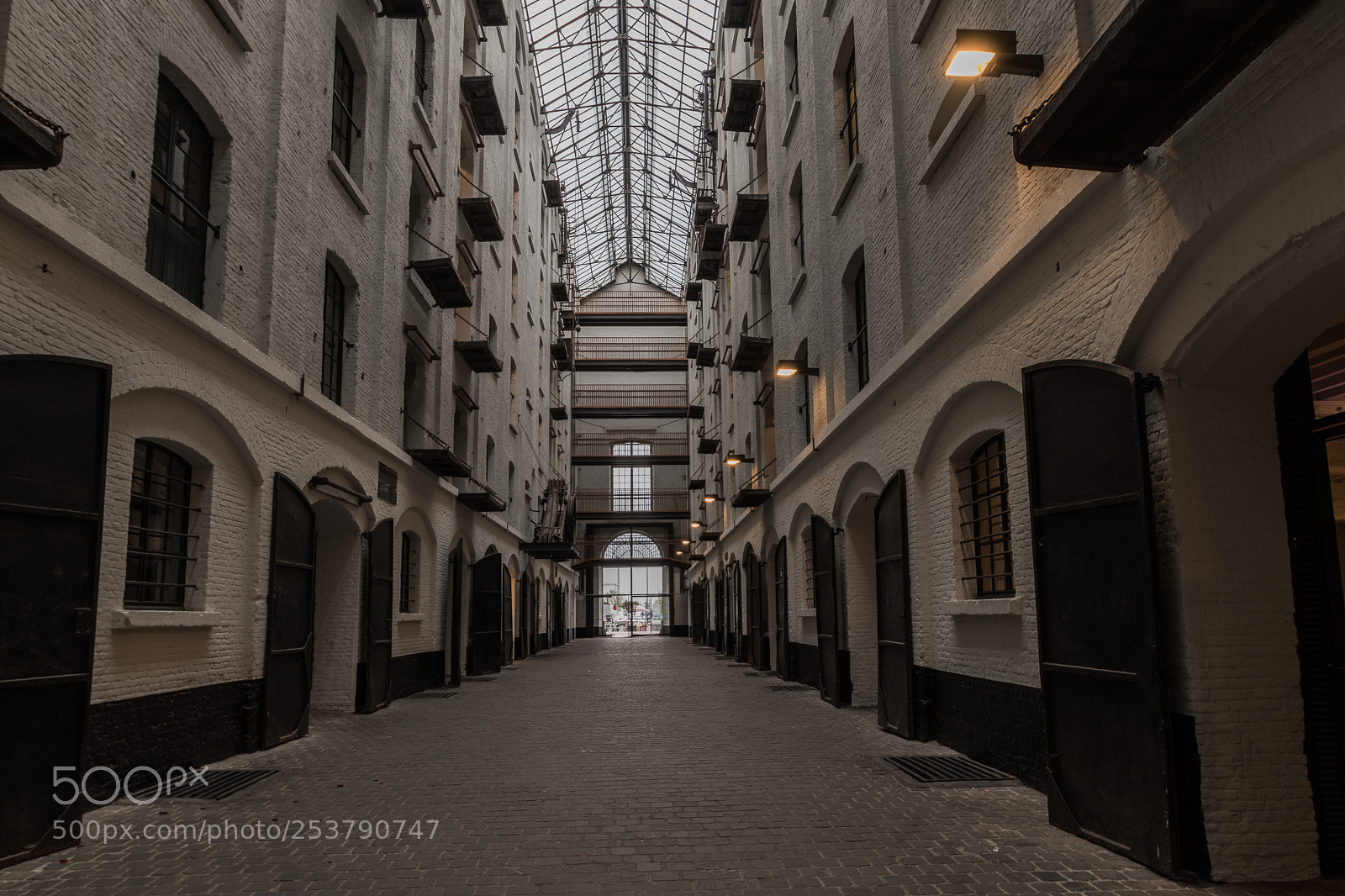 Nikon D5600 sample photo. Felixpakhuis photography