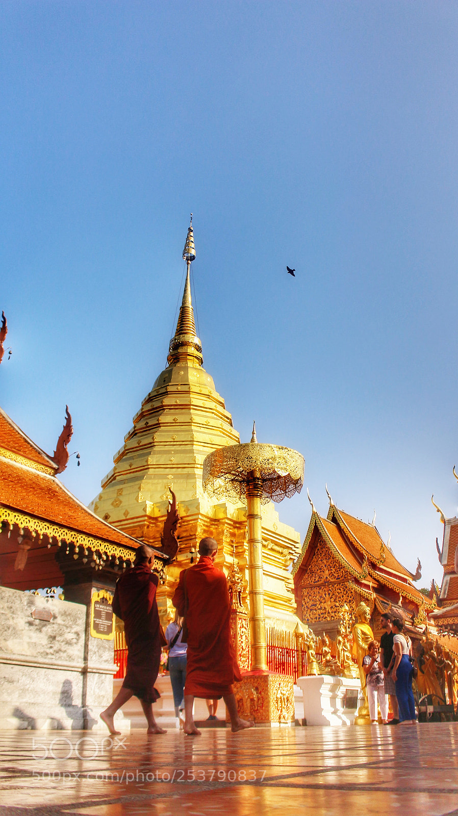 Canon EOS 700D (EOS Rebel T5i / EOS Kiss X7i) sample photo. รุ่งอรุณ in the morning. photography