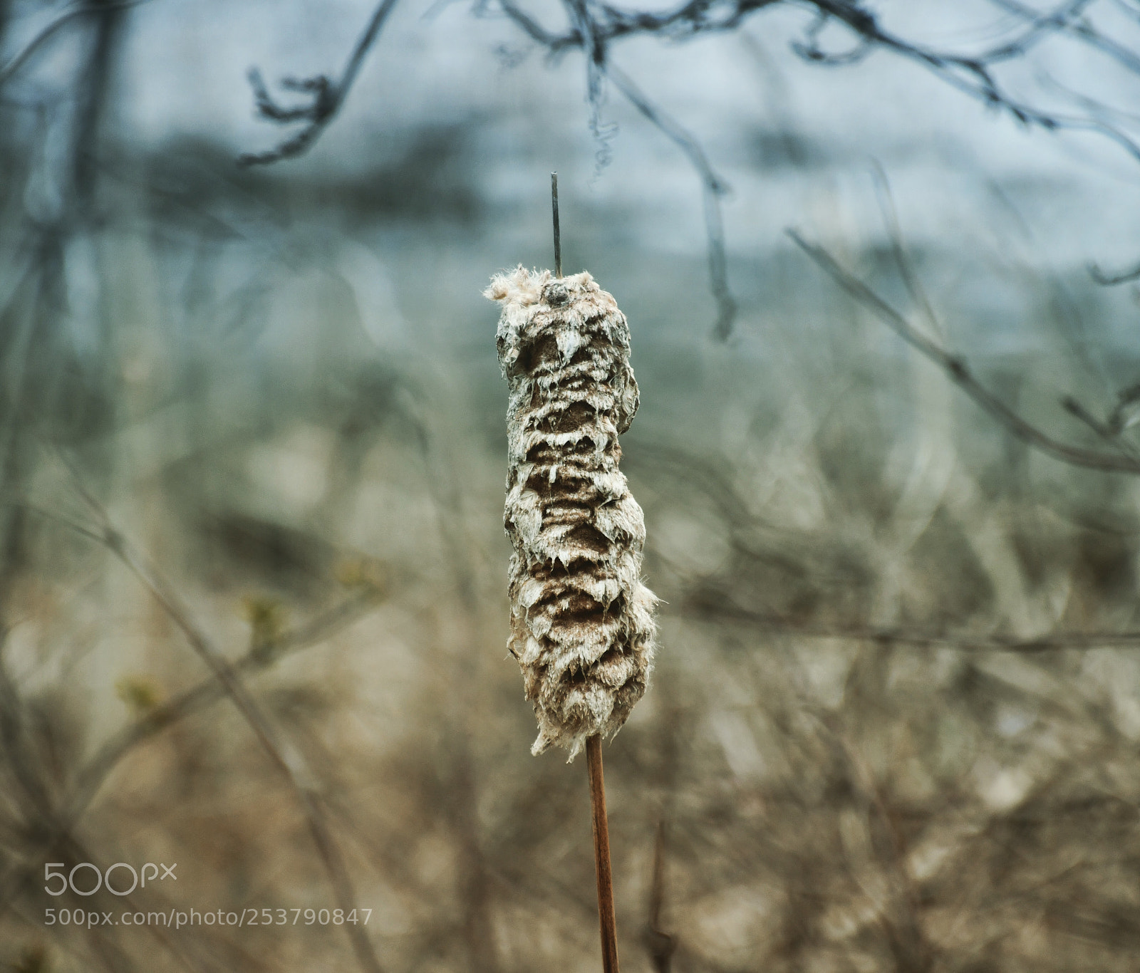 Nikon D7500 sample photo. Untitled photography