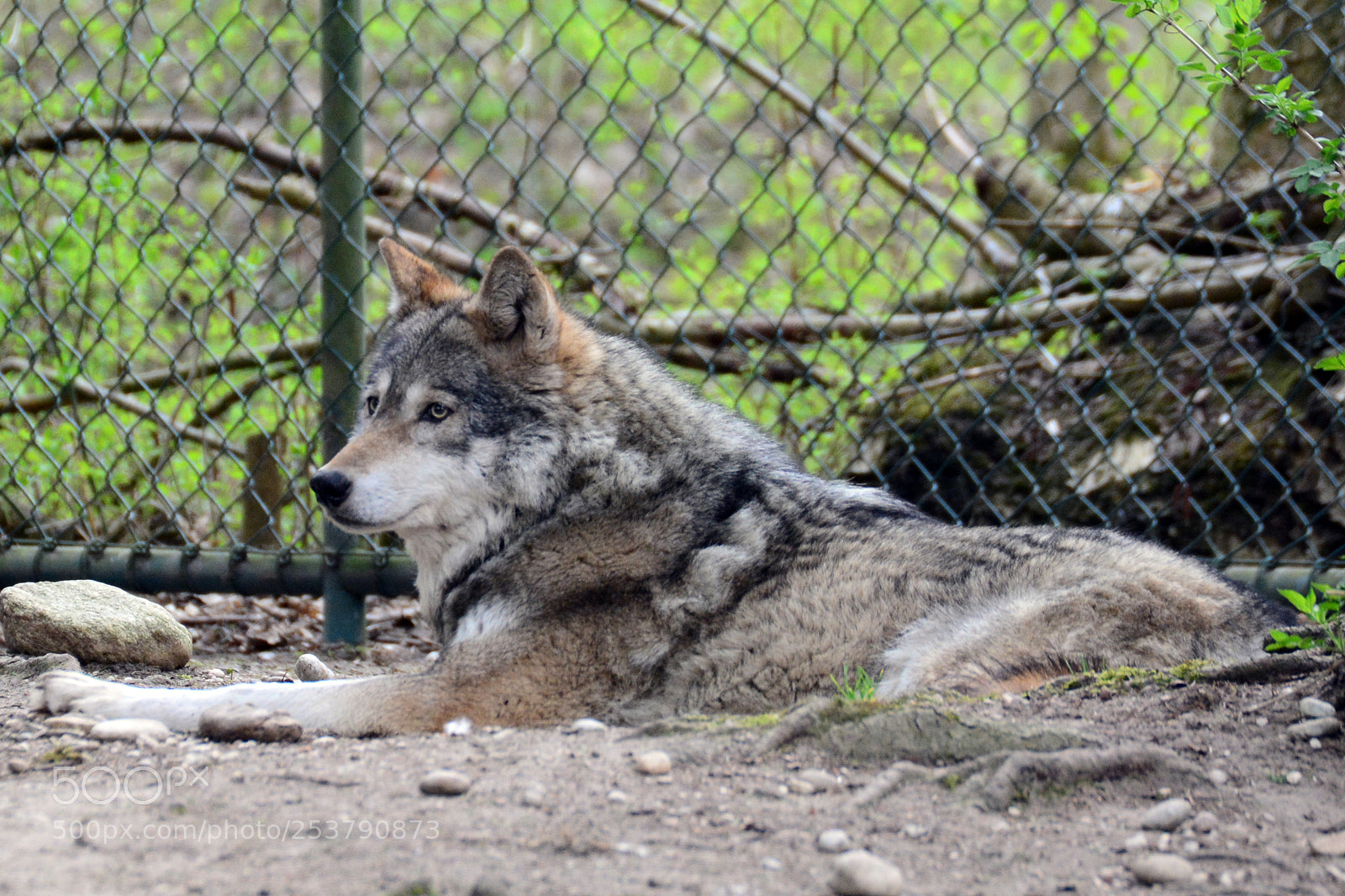 Nikon D7100 sample photo. Tierpark hellabrunn / 15.04.2017 photography