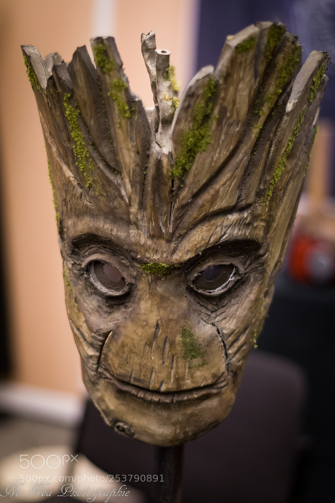 Pentax K-S2 sample photo. I groot photography